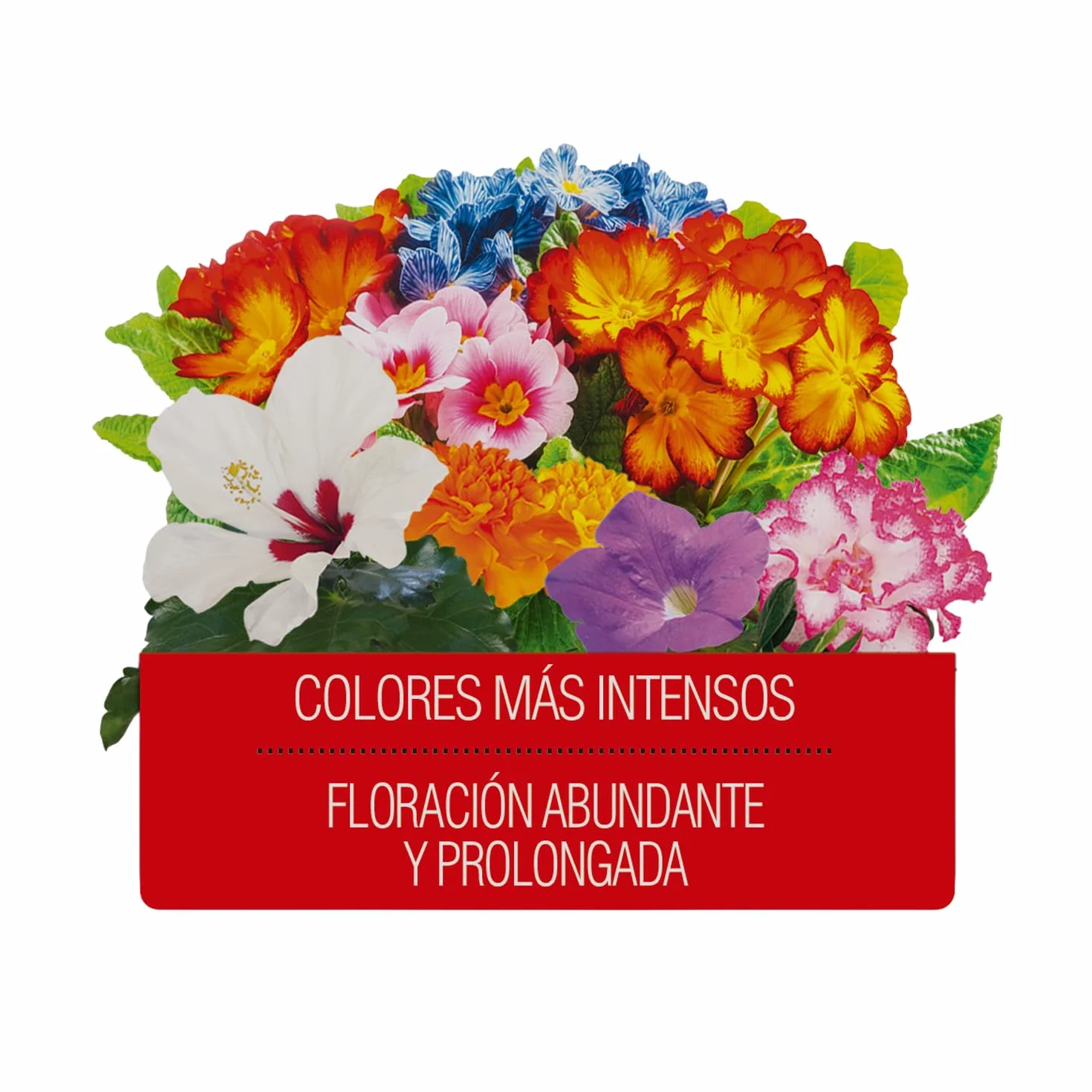 Fertilizante Líquido para Plantas con Flor 1 L NPK 4-4-6 con Micronutrientes y Vitamina B1