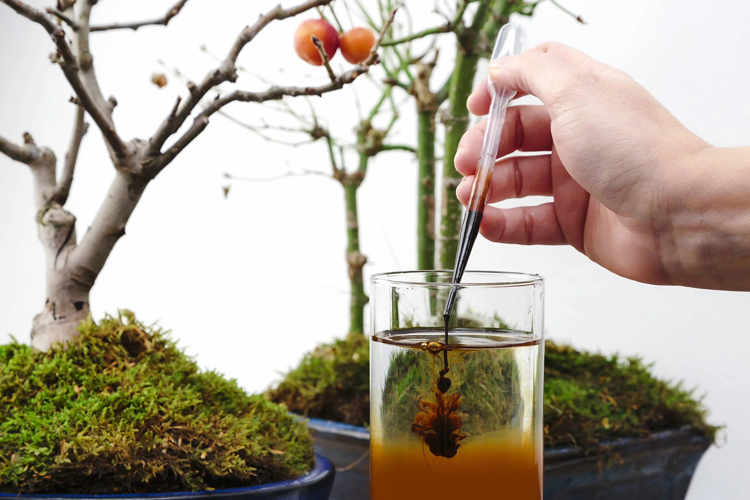 Fertilizante Tradicional japonés Bonsai - Fertilizante líquido con cuentagotas 250ml