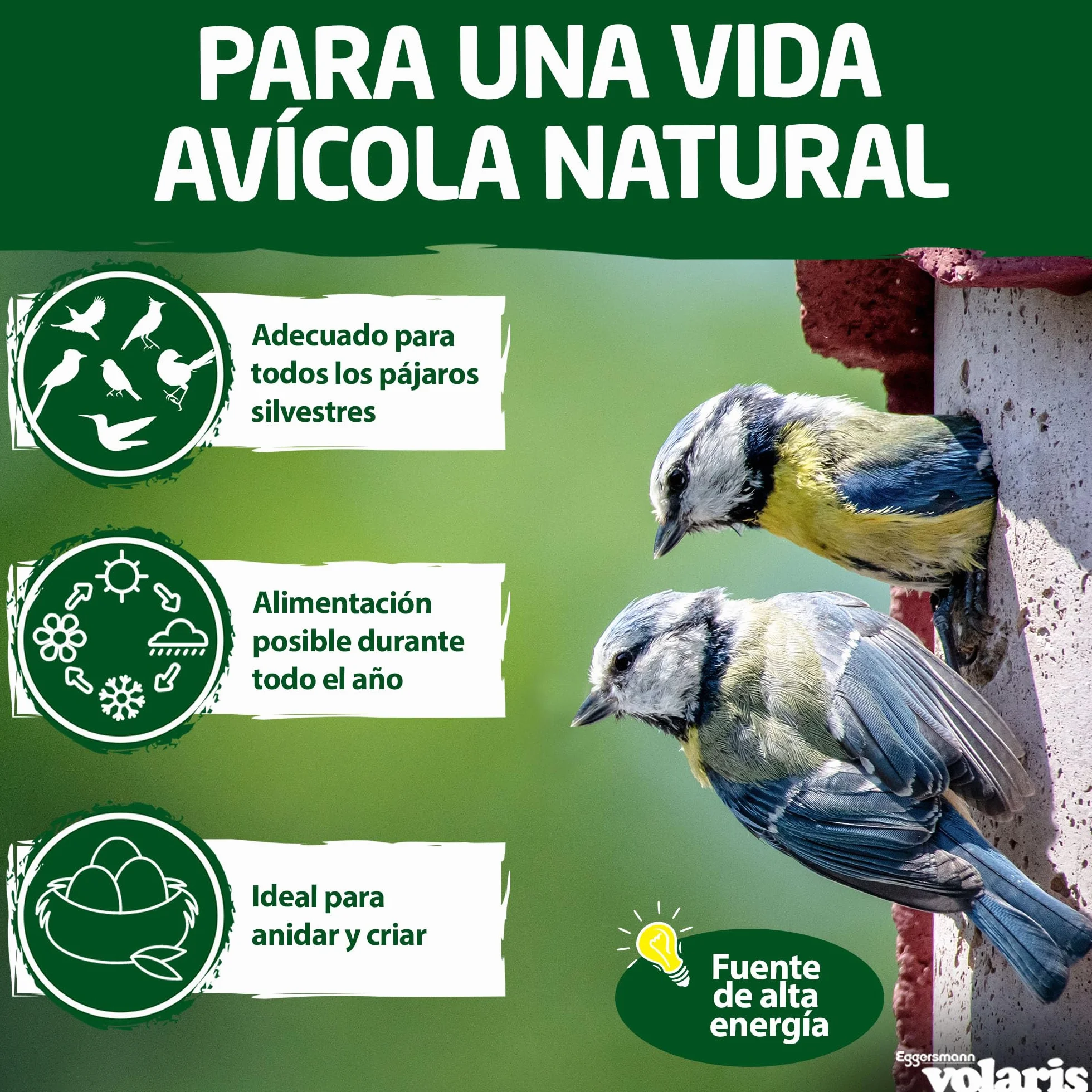 Eggersmann Volaris Meisenknödel con red 200 piezas 18 kg Alimento para pájaros silvestres