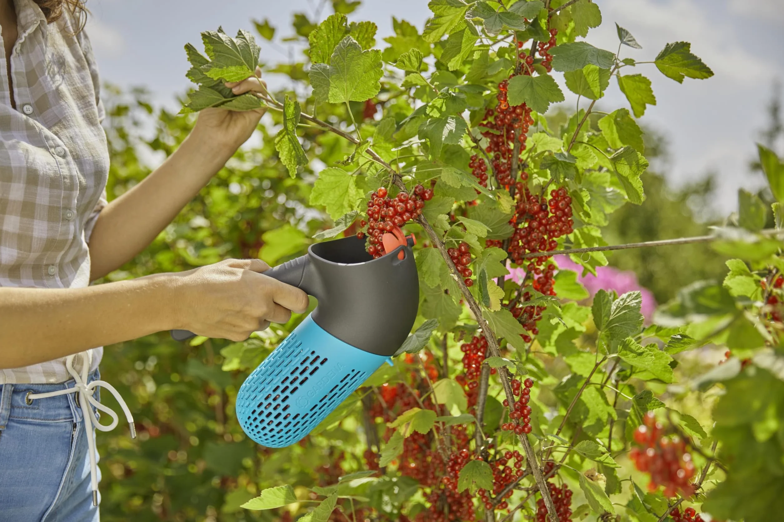 Gardena Combisystem Recolector de Fruta 17400-20 con Cesto Incorporado