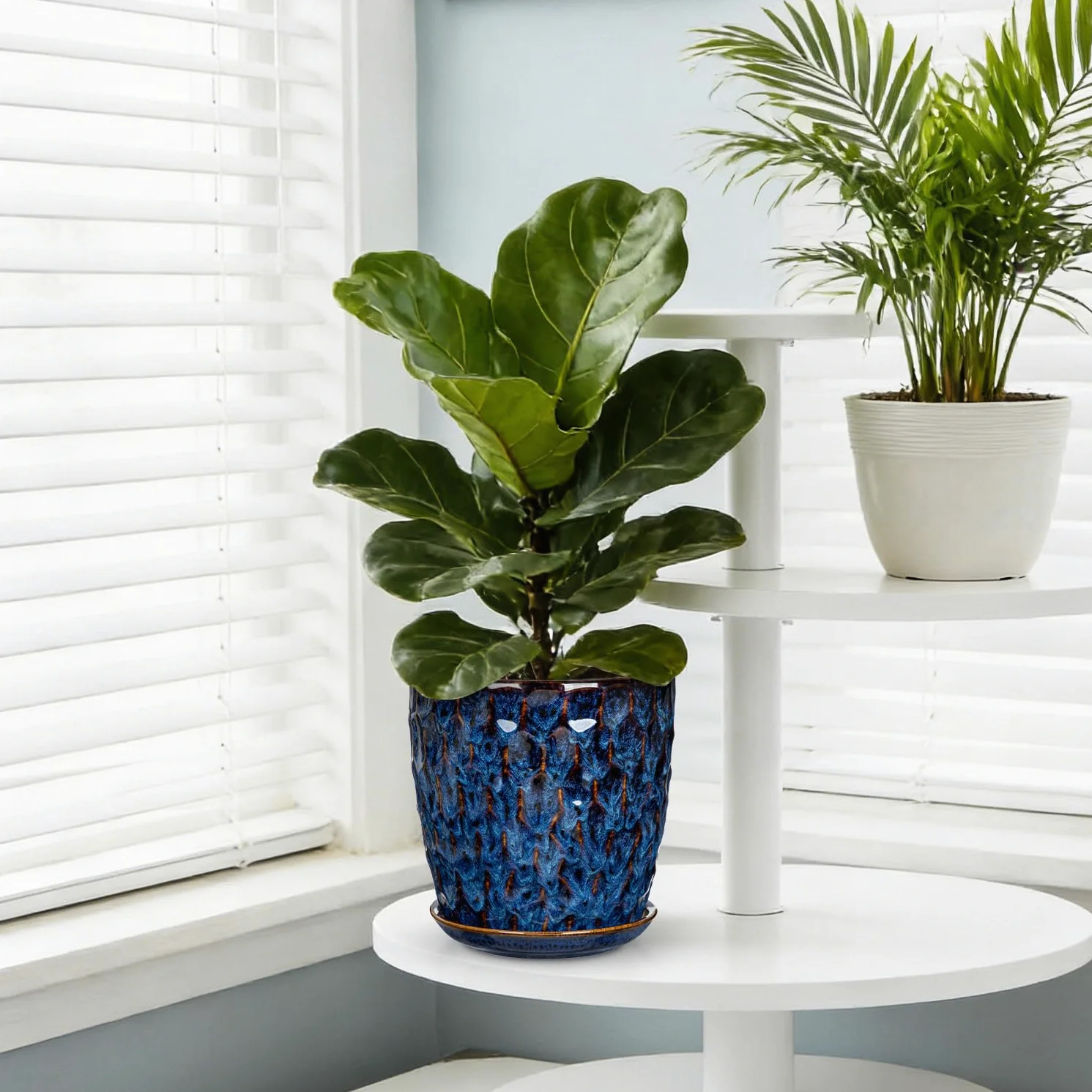 Juego de 2 macetas de cerámica esmaltada azul para interiores con drenaje y platillo, maceta decorativa de cerámica para plantas de interior, suculentas, cactus, macetas modernas de interior