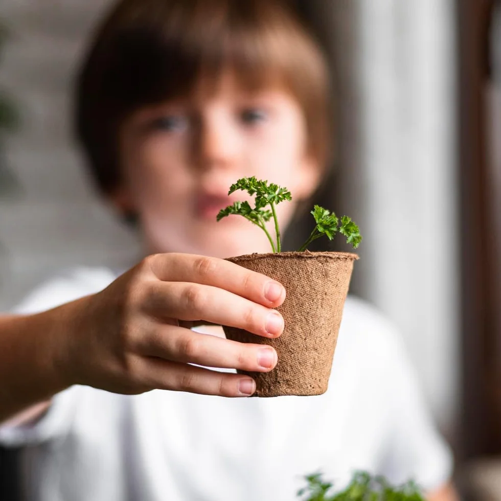 Kit Educativo Montessori STEM Cultivo de Fresa con Semillas y Maceta Biodegradable