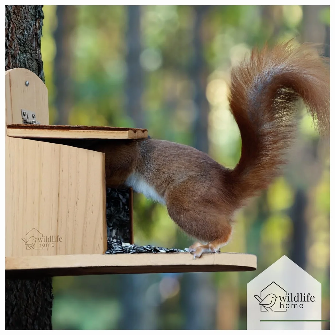 Comedero para ardillas de madera maciza WILDLIFE HOME con tejado de corteza resistente a la intemperie