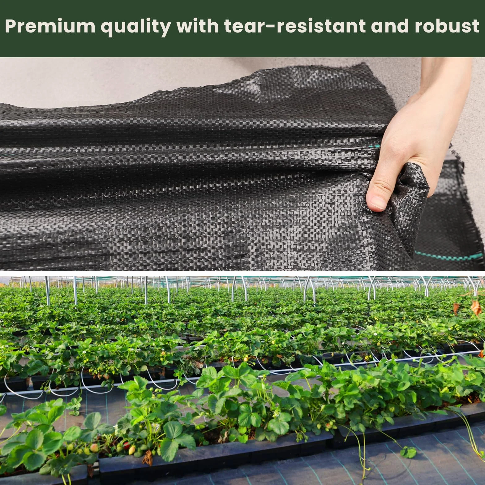 3 x 25 m Malla Antihierbas, Malla contra Malas Hierbas, 70 g/m² Geotextil, Protección césped Artificial, Lona antimalezas jardín, Anti-UV, Negro