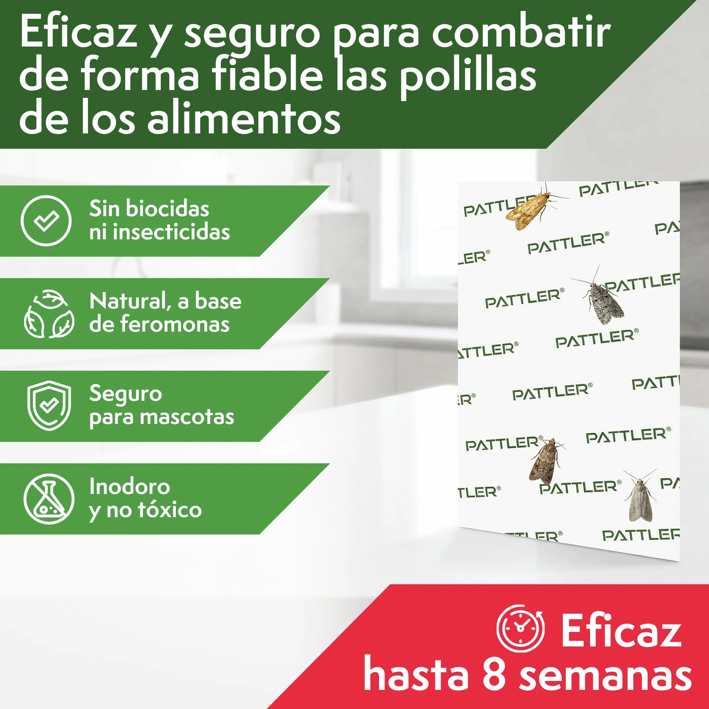 PATTLER Trampa polillas Alimentos 12 uds. Antipolillas Cocina despensa Captura polillas