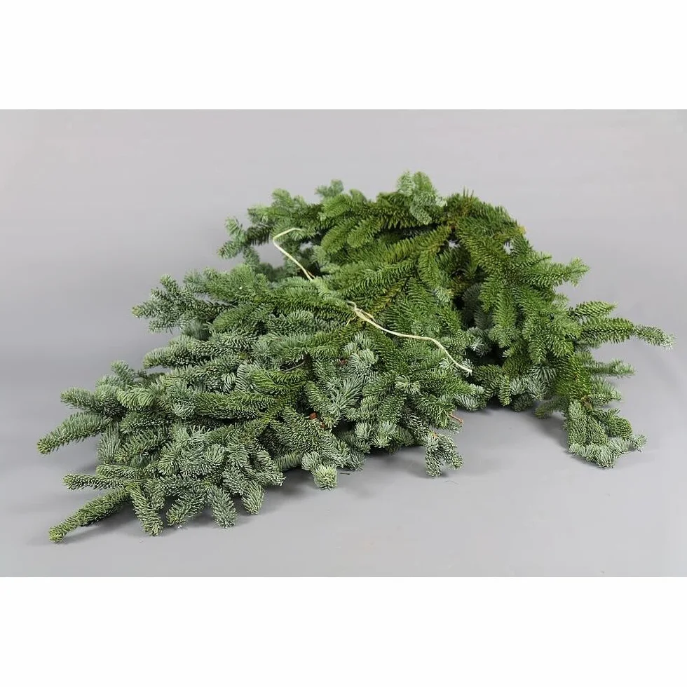 Rama de Abeto Natural Fardo Nobilis 5 kg Decoración Navidad Centros de Mesa