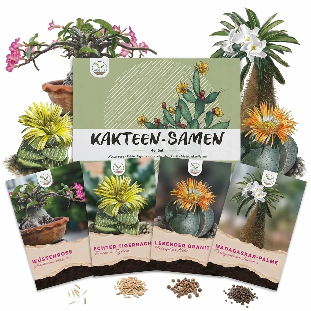 Semillas de cactus exóticas para floración - Set de 4 semillas suculentas