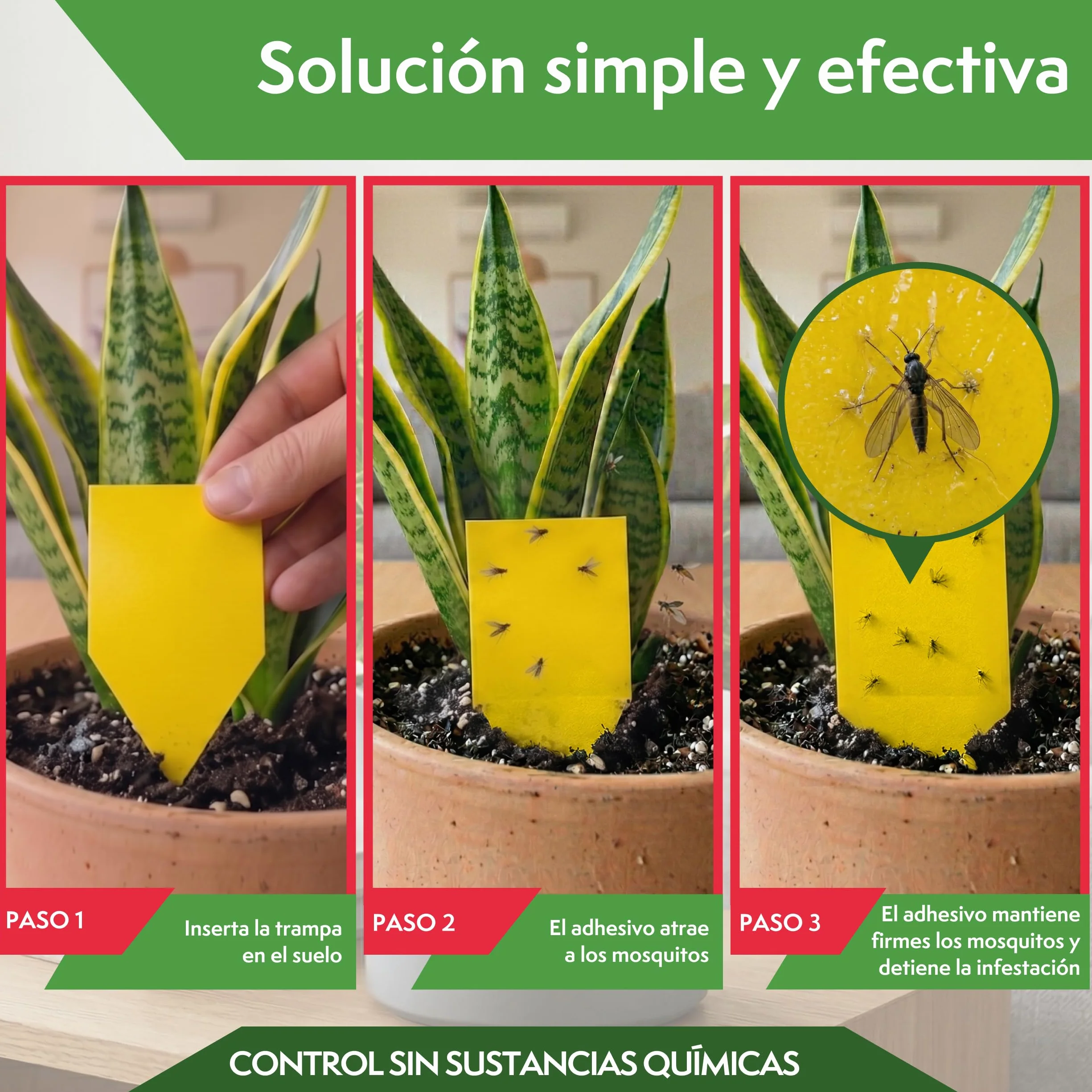 PATTLER Trampas Cromáticas Amarillas para Plantas 30 Unidades