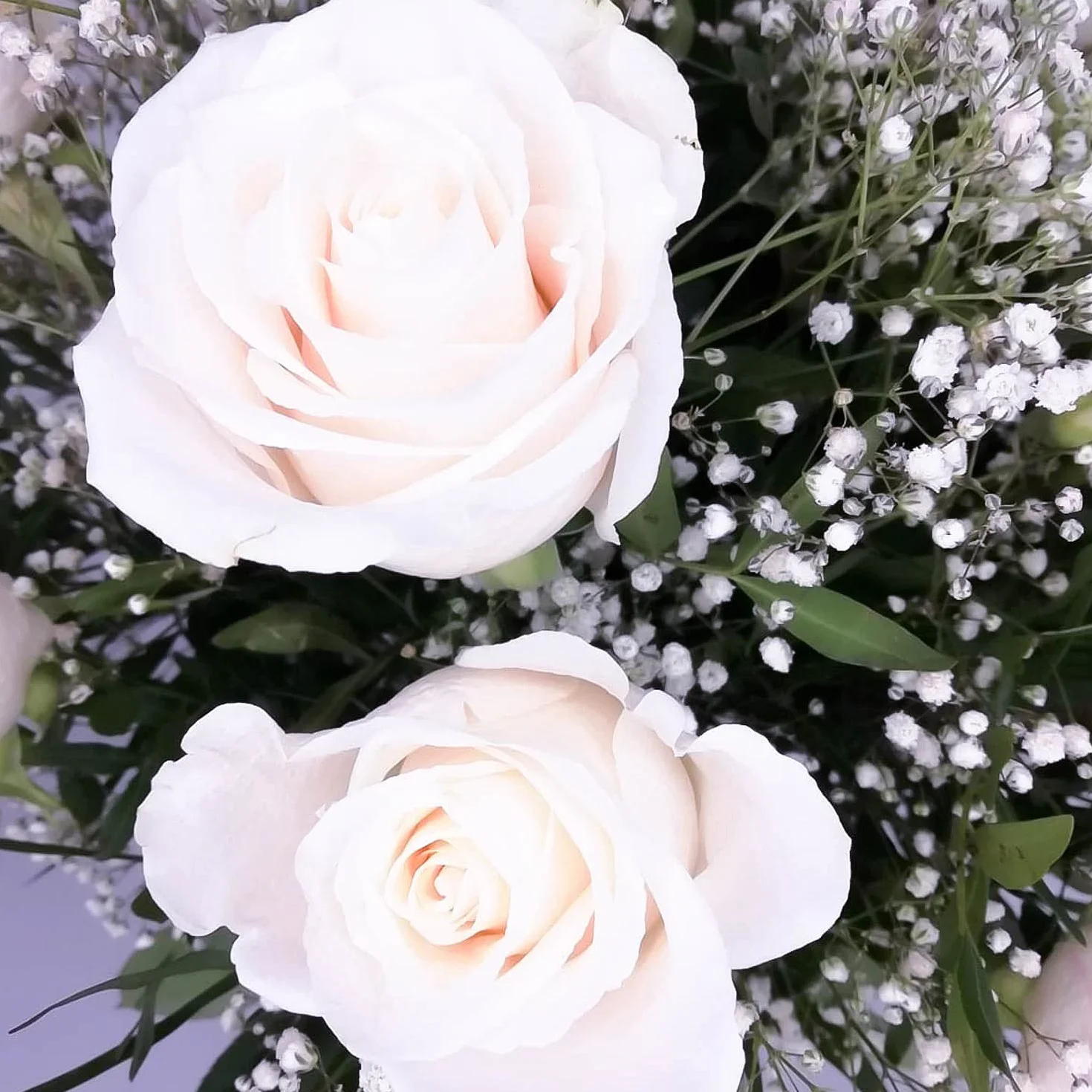 Alma Ramo de flores naturales 12 rosas blancas a domicilio entrega gratis 24 horas