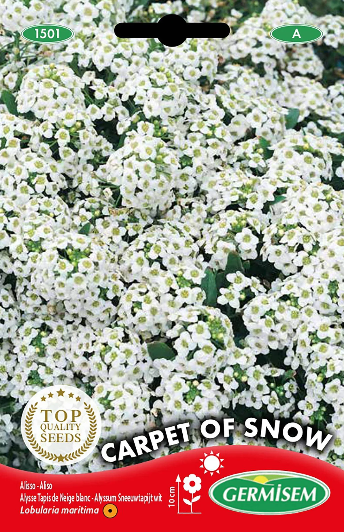Germisem Carpet of Snow Alyssum Semillas de Flor 0.5 g