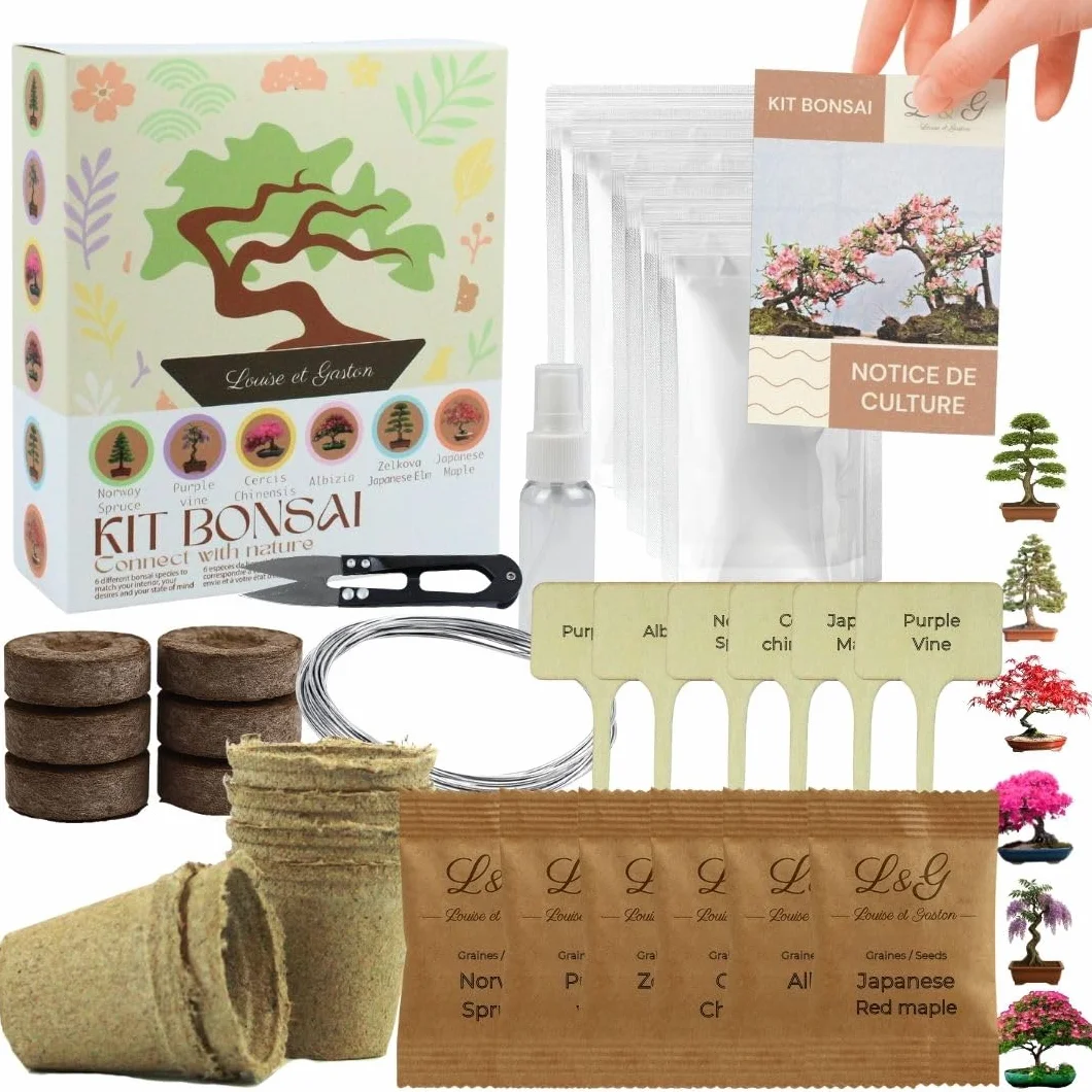 Kit Bonsái Completo para Cultivar 6 Semillas Naturales Jardinería Interior