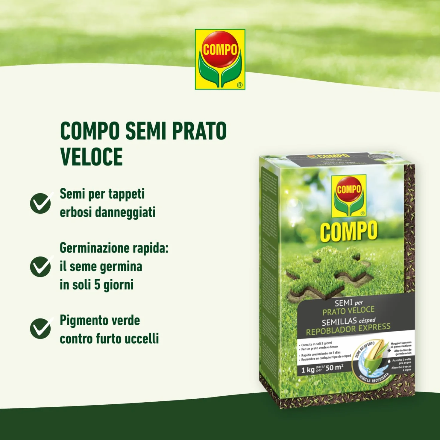 COMPO Semillas de césped repoblador Express 1 kg para 50 m²