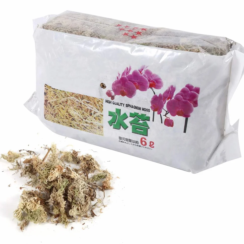 Musgo de Fertilizante Orgánico para Phalaenopsis Orchid Sphagnum Moos 6L