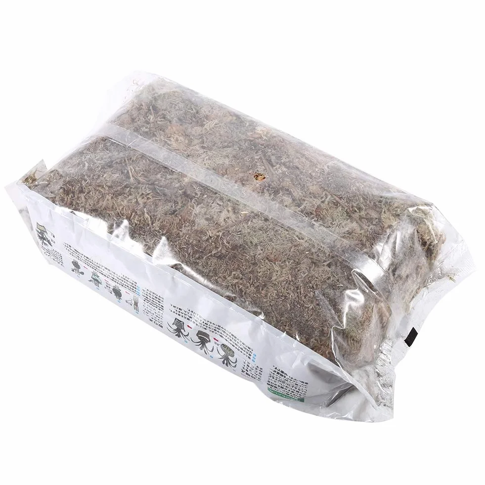 Musgo de Fertilizante Orgánico para Phalaenopsis Orchid Sphagnum Moos 6L