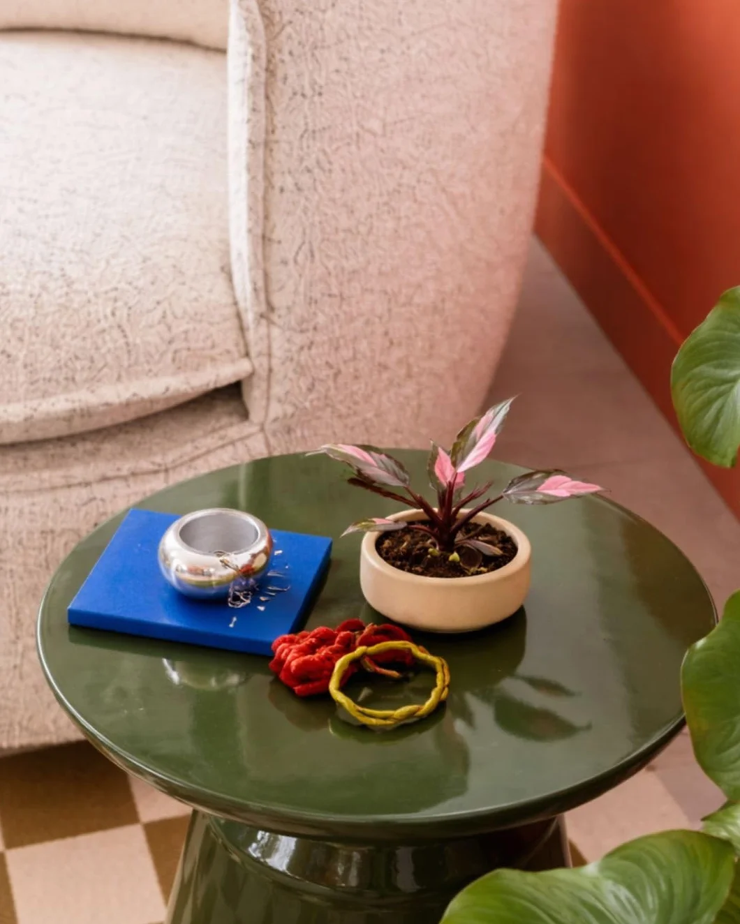 Philodendron Pink Princess Planta Natural Interior Tropical Hojas Variegadas Rosa Verde Oscuro Maceta Ø5 cm