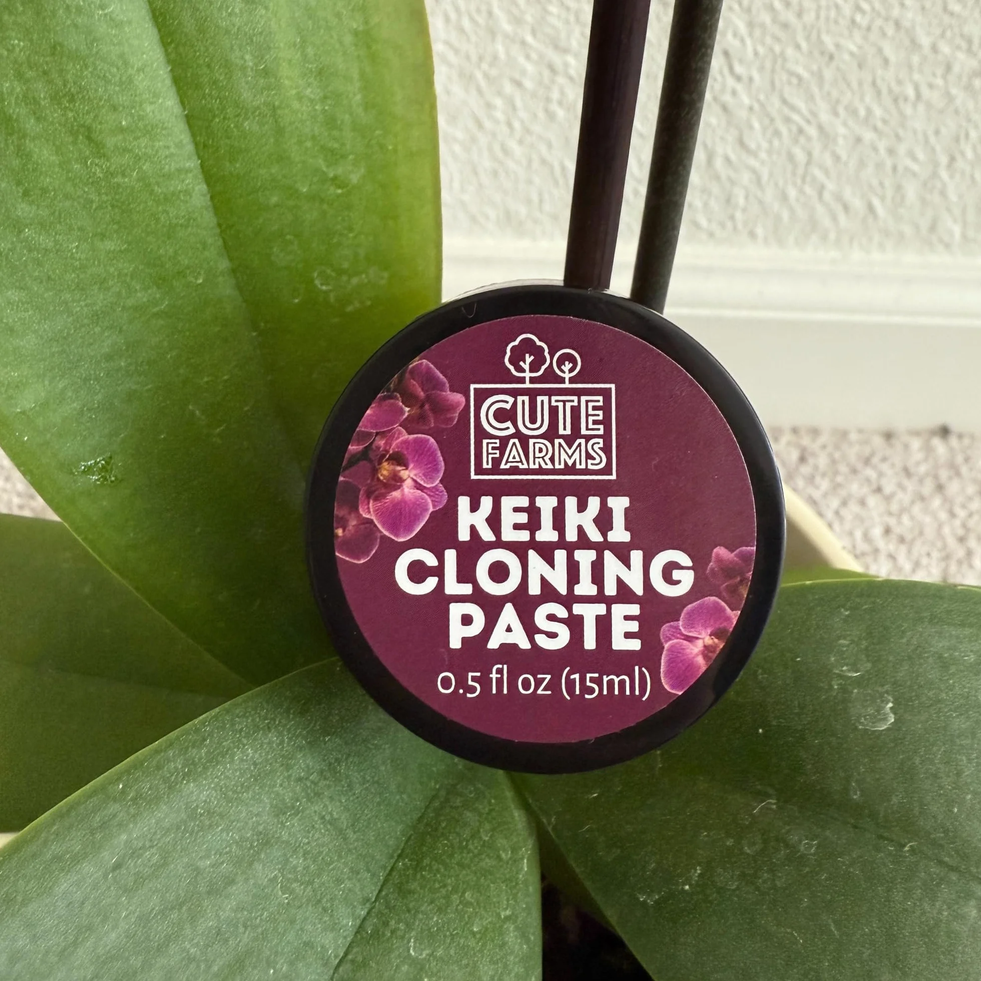 Cute Farms Keiki Pasta de clonación para orquídeas 0.5 oz Hormonal Gel