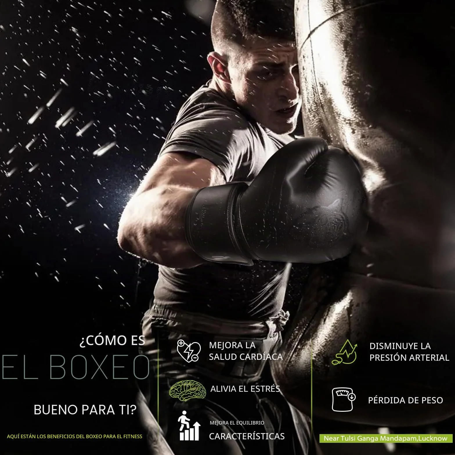 Dripex Guantes de Boxeo de Cuero para Entrenamiento Muay Thai Kickboxing MMA 8-16 oz