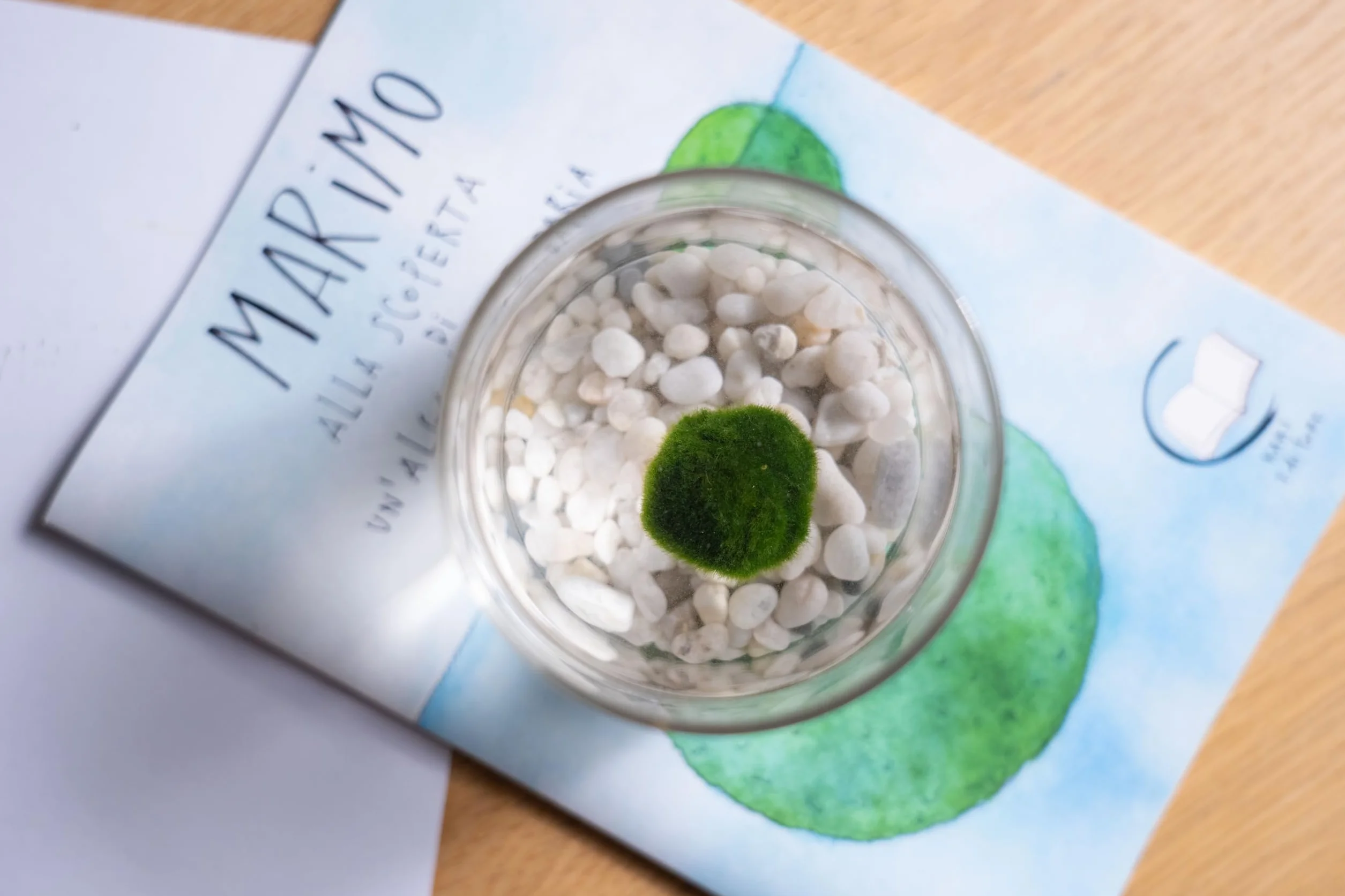 KAKI Marimo individual original tarro cristal tapón corcho ideograma artesanal fondo natural fabricado Italia