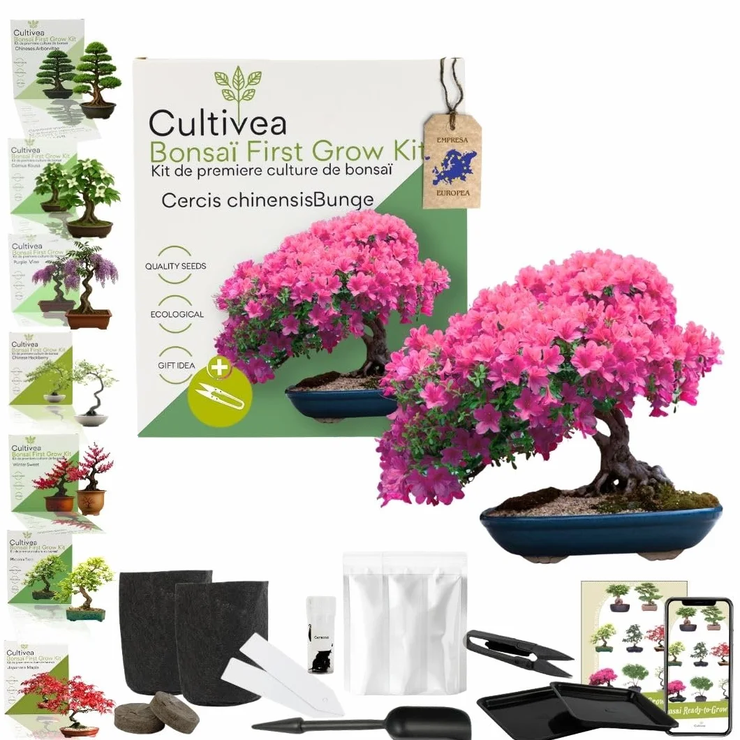 CULTIVEA Kit First Bonsai Autocultivo de Bonsáis con Semillas y Herramientas Cercis chinensis