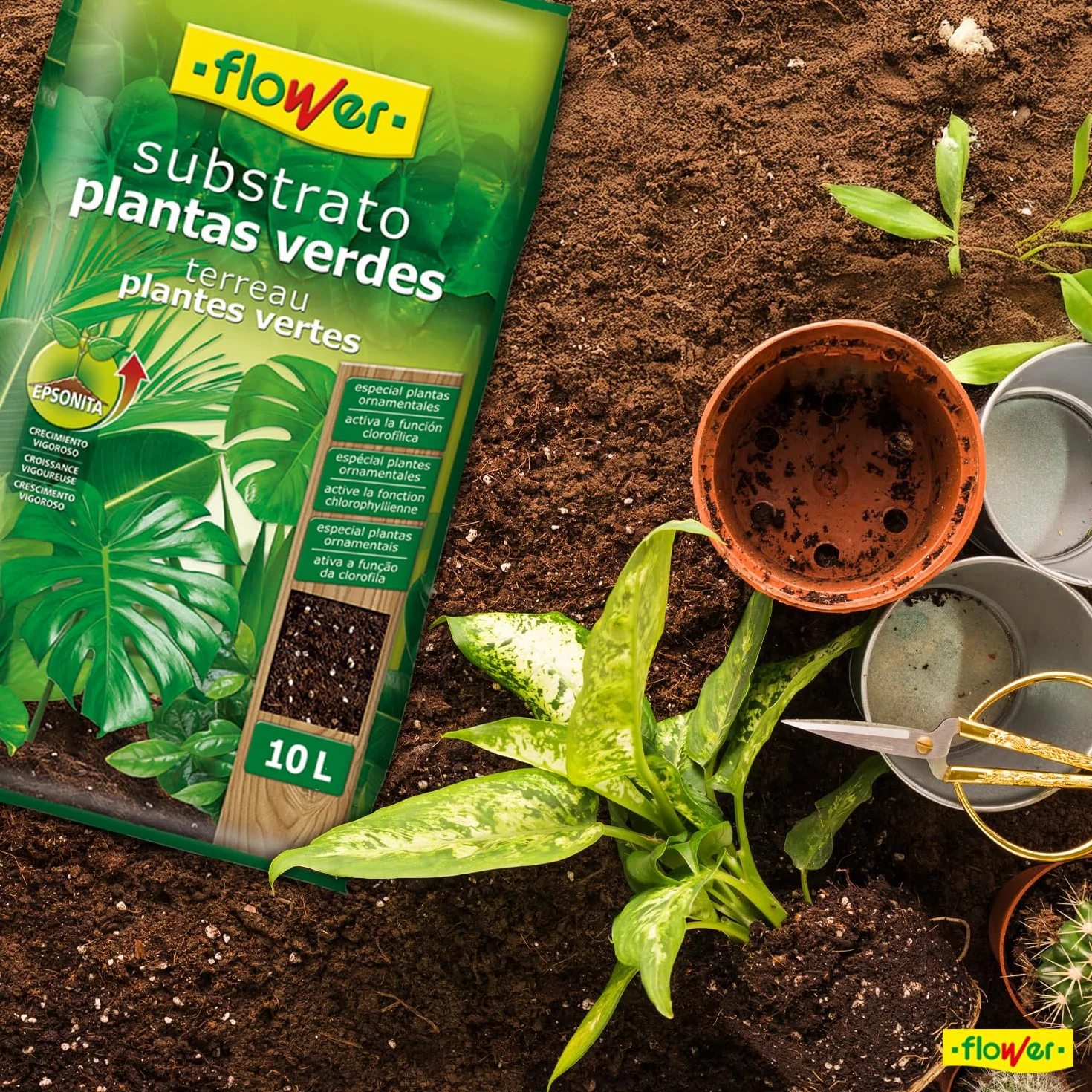 Sustrato Plantas Verdes 10 L con Perlita, Magnesio y Compost Vegetal para Interior y Exterior