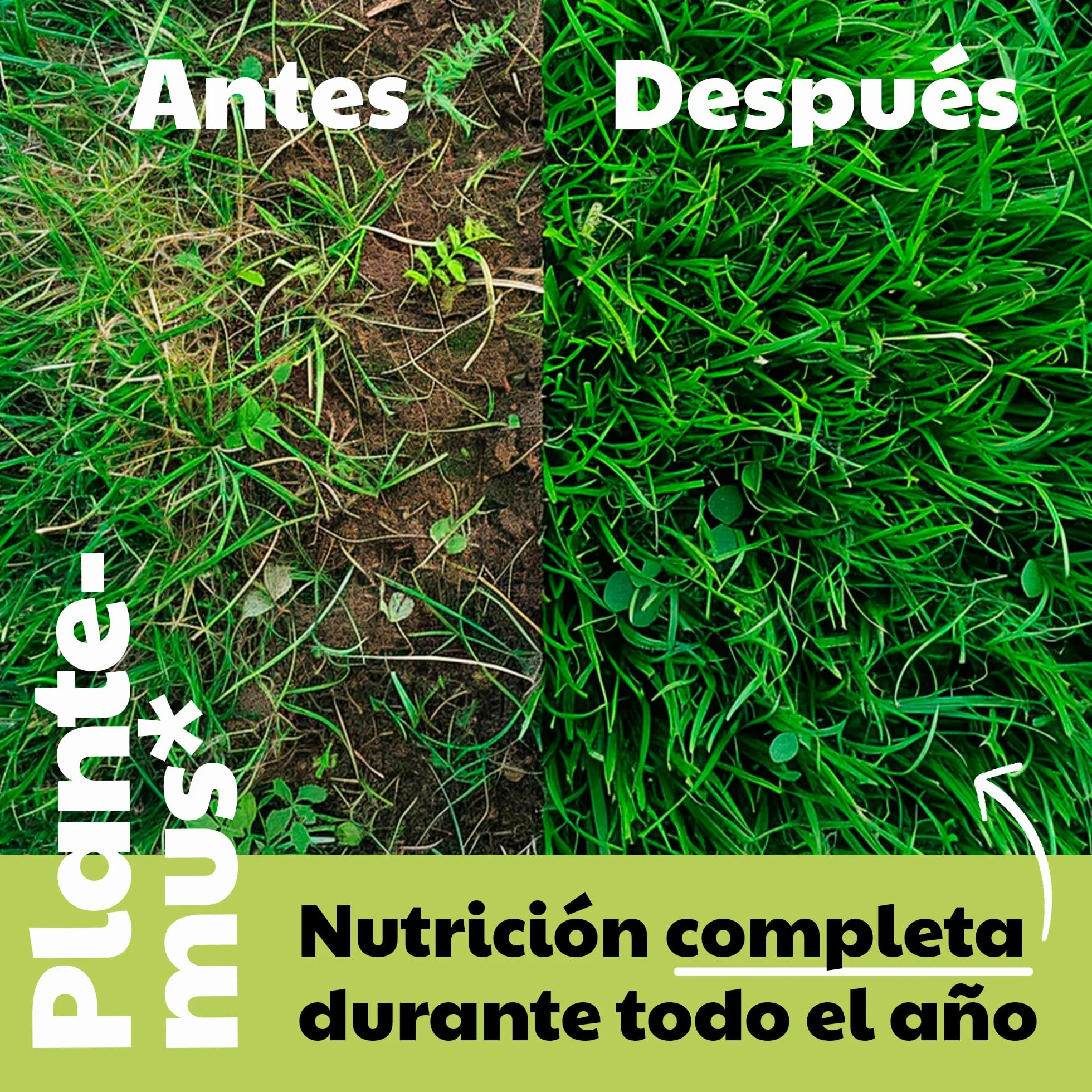 PLANTEMUS Abono Césped Premium Efecto Prolongado 700 m² Fertilizante NPK 12-11-18 Granulado Perlas Ultrasolubles 20 KG