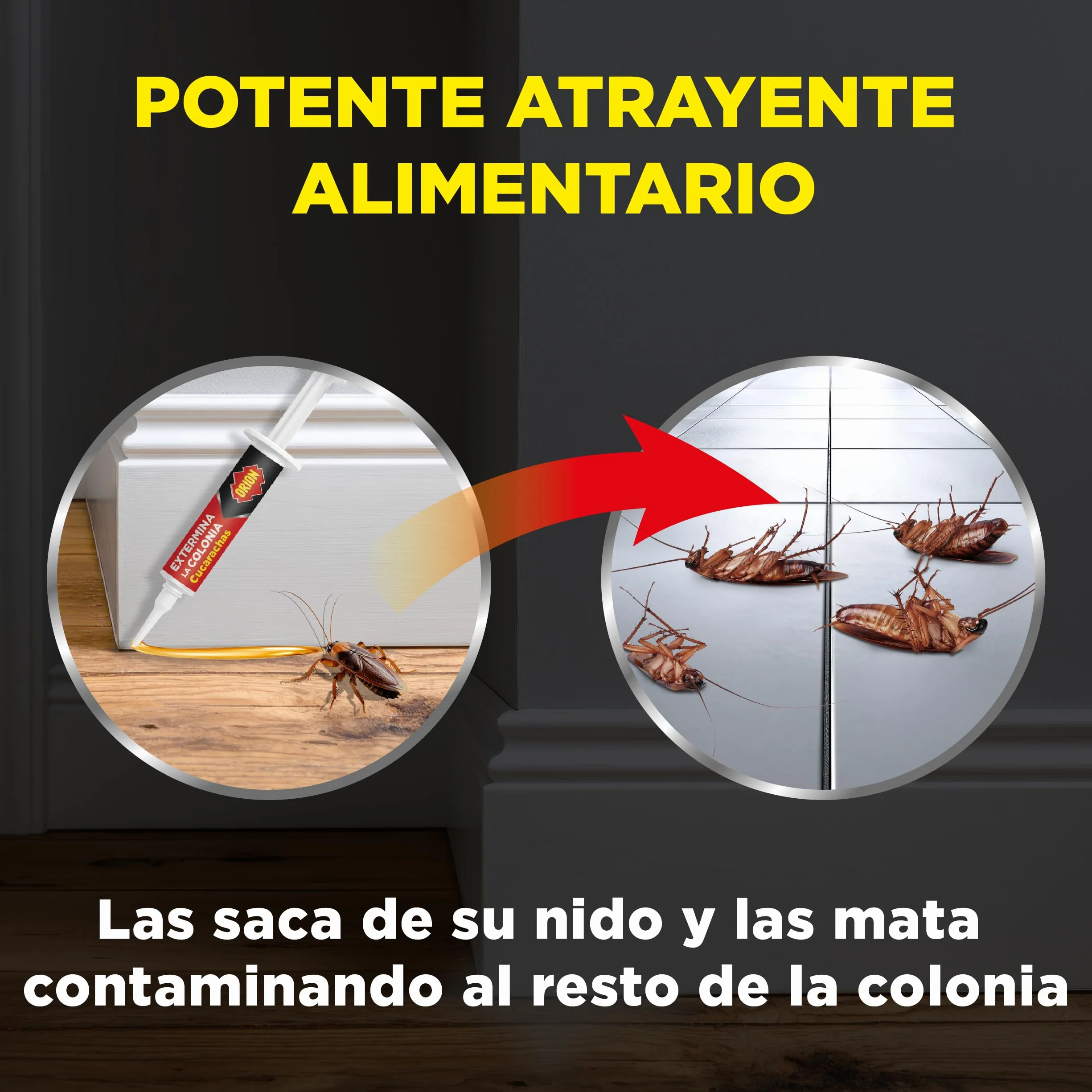 Orion Jeringa Mata Cucarachas Gel Alta Atracción 10g