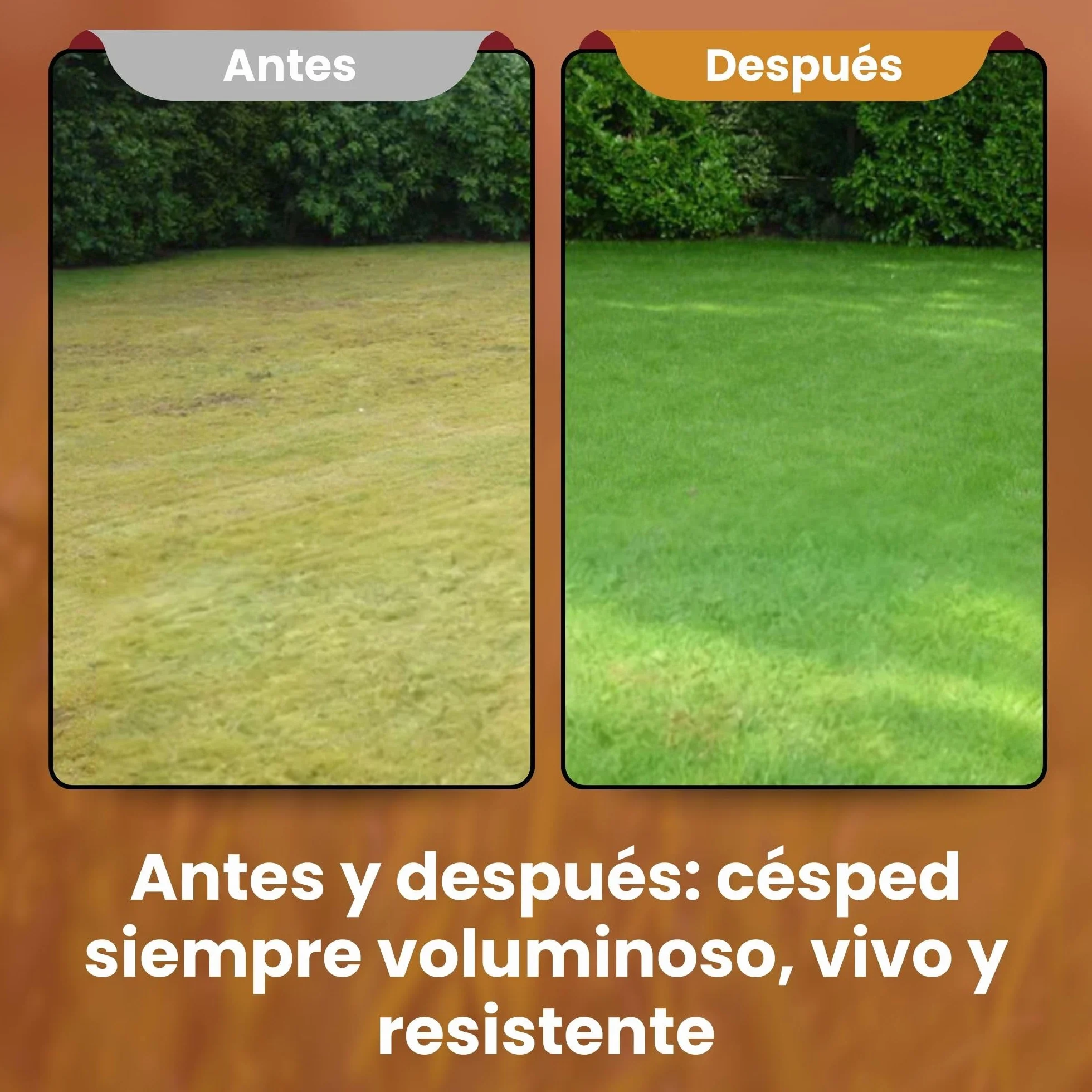 LERAVA® Abono césped Otoño 185 m² Fertilizante Liberación Lenta 100% Nitrógeno