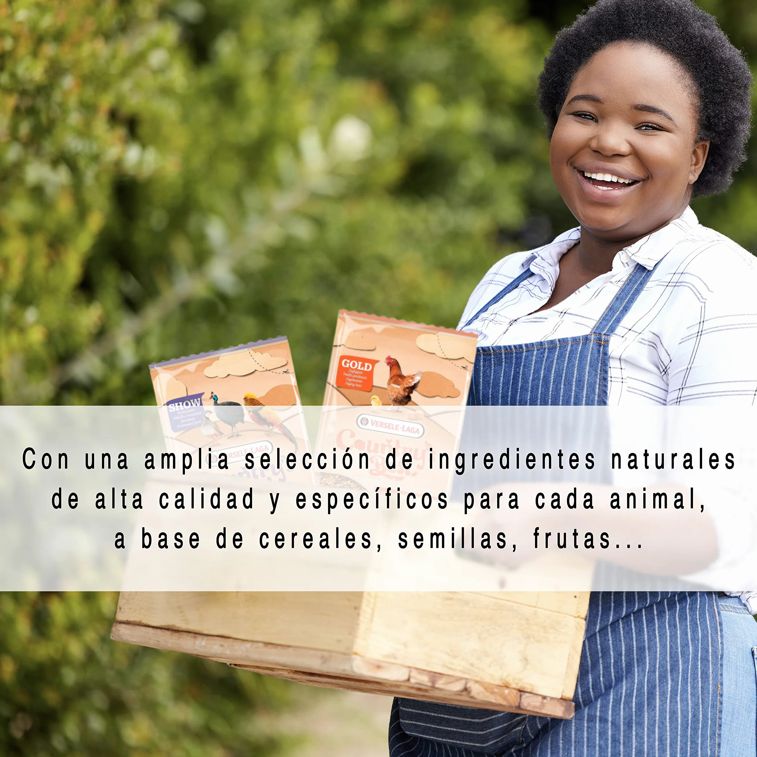 Prestige Dove Comida para Tórtolas y Palomas 20 kg Mezcla de Semillas Pequeño Tamaño