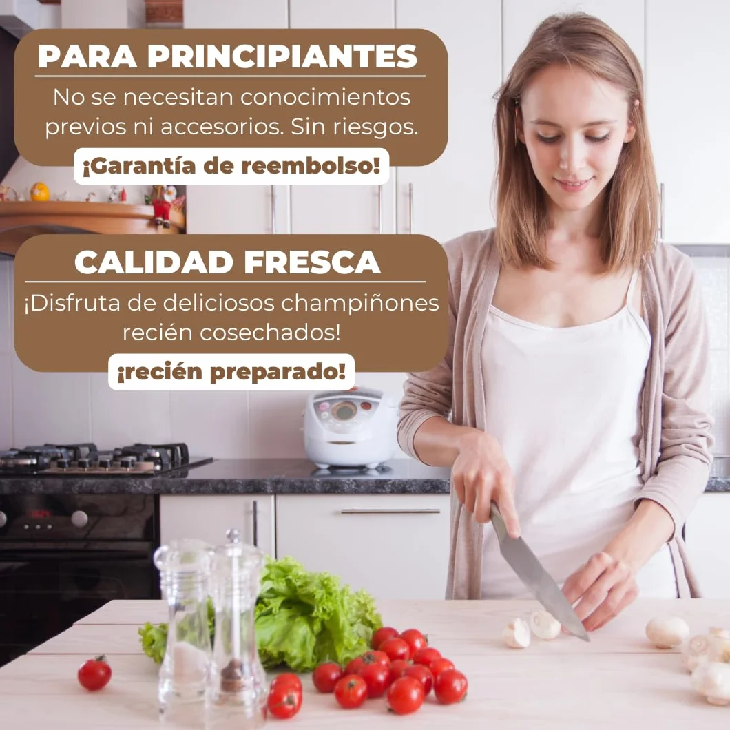 Hawlik Pilzbrut 2 cultivos de champiñones blanco y marrón pequeño Portobello