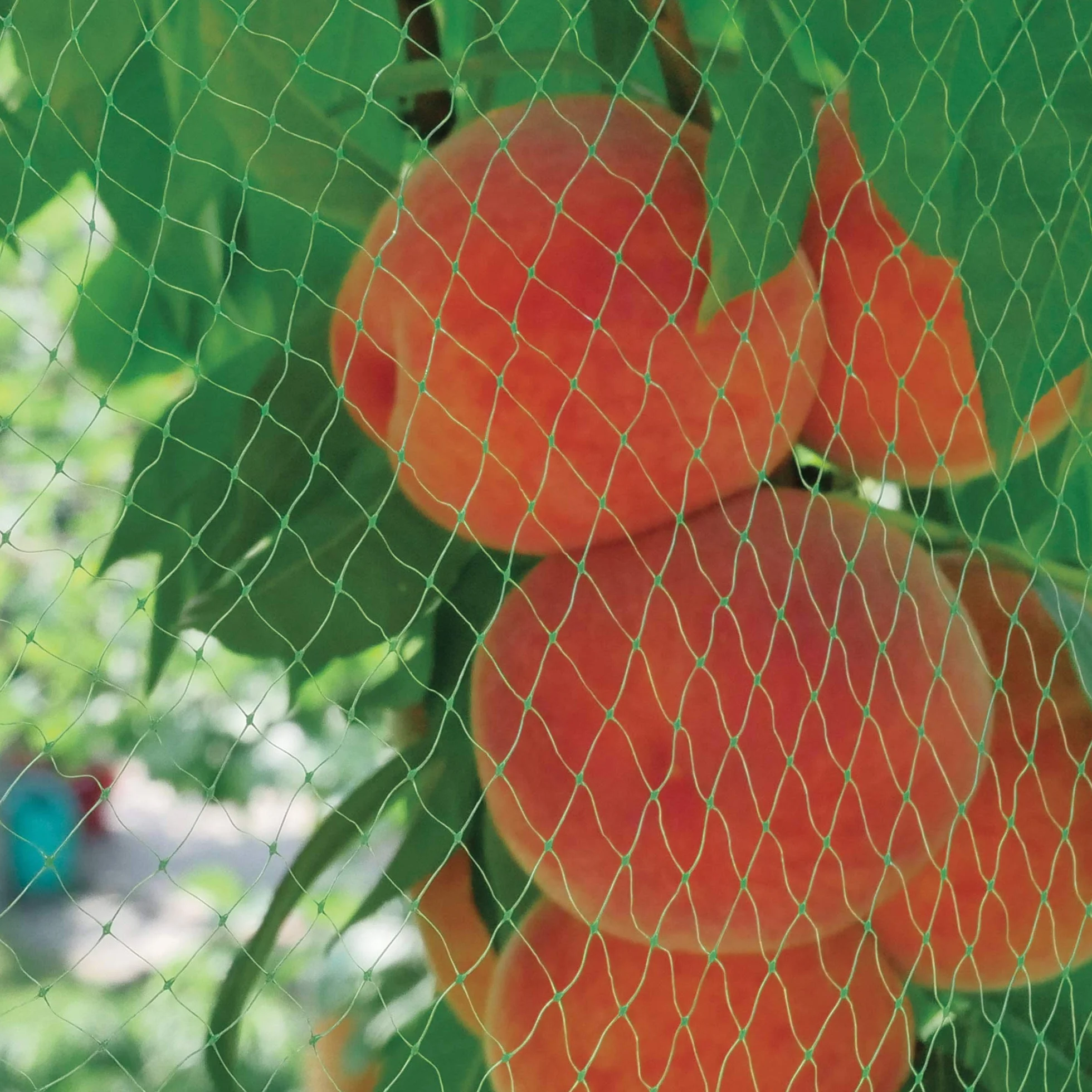 TENAX Ortoflex 2,00x10 m Verde Malla Antipájaros Protección Frutos Cultivos