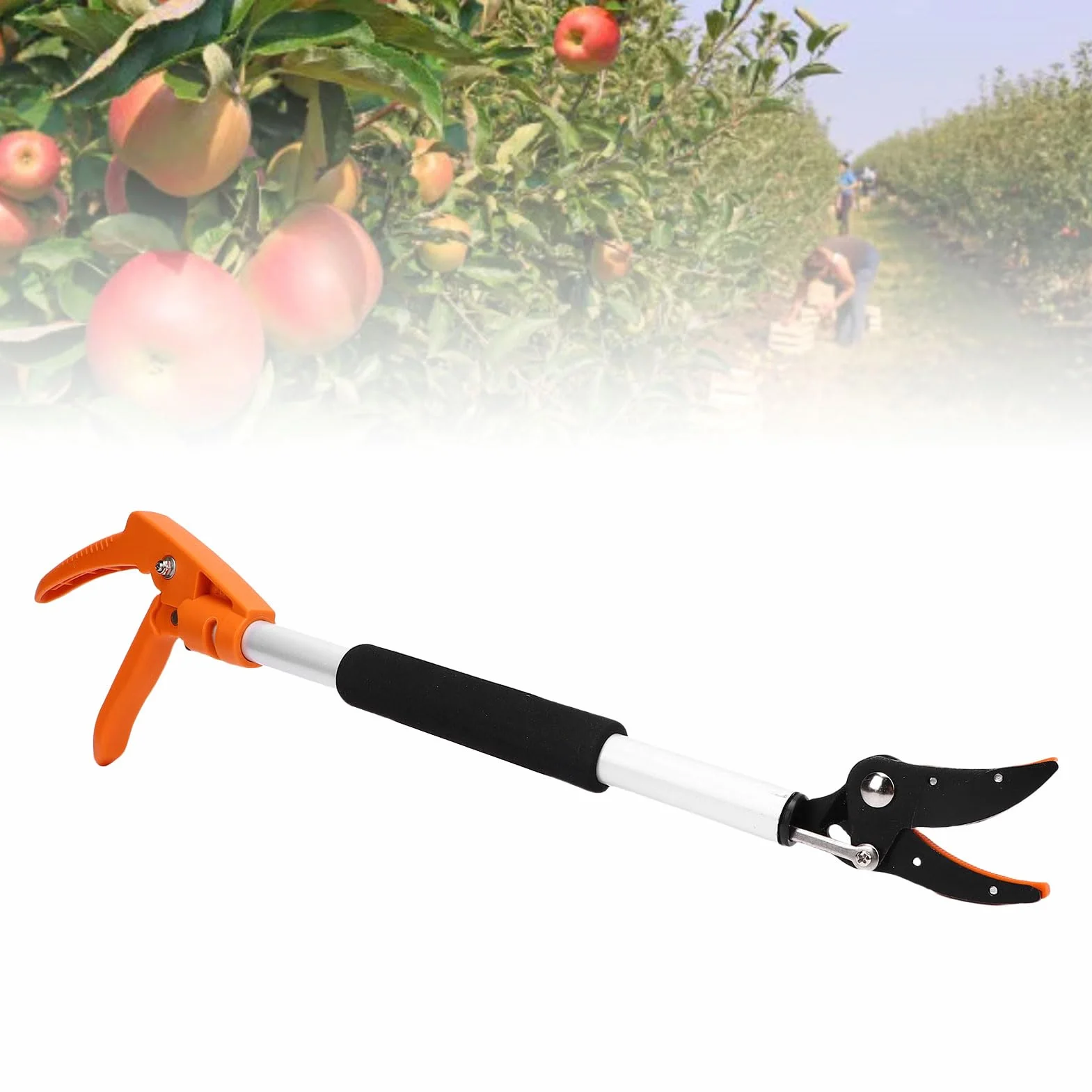Tijeras profesionales para recolectar frutas de 2 pies, diseño ergonómico, ideal para cosechar fácilmente en huertos, aleación de aluminio, 1 pieza