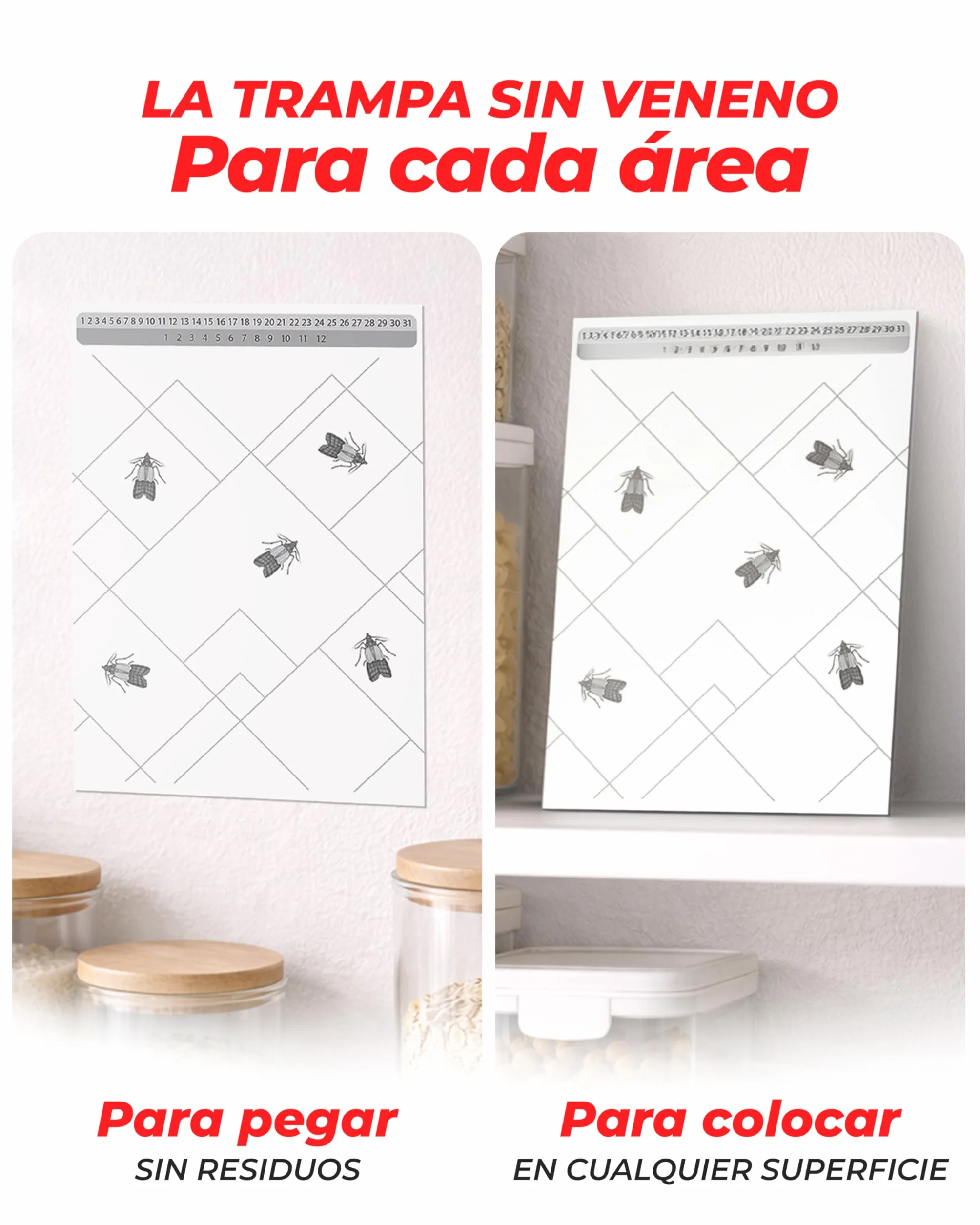 PIC Trampa Polillas Alimentos 12X – Trampas con Feromonas para Cocina y Despensa – Protección 8 Semanas