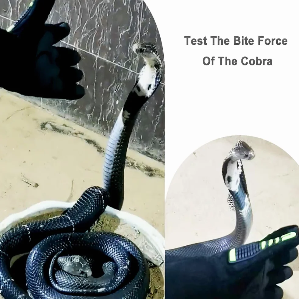 Guantes a prueba de mordedura de serpiente Kevlar Reforzado Herramienta de manejo de animales