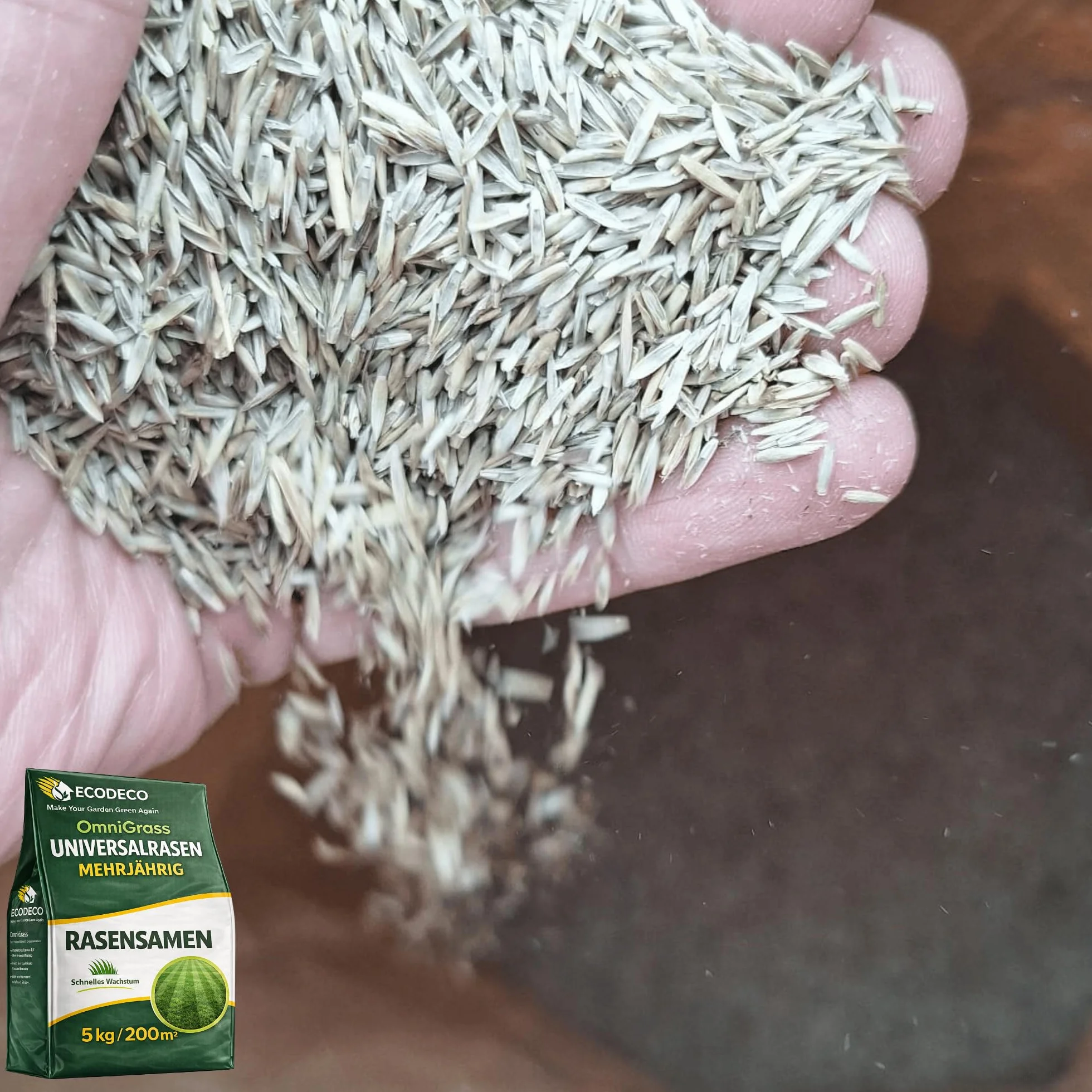 Semillas de Césped Universal 5 kg para 200 m² – Raigrás 50% Sombra, Regeneración Rápida