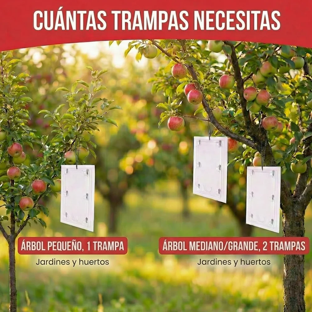 Pestmatic® Trampa Smart Polilla Manzana | Pack de 3 | Monitorización para Manzanos | Atrayente Natural Seguro para Abejas y Aves