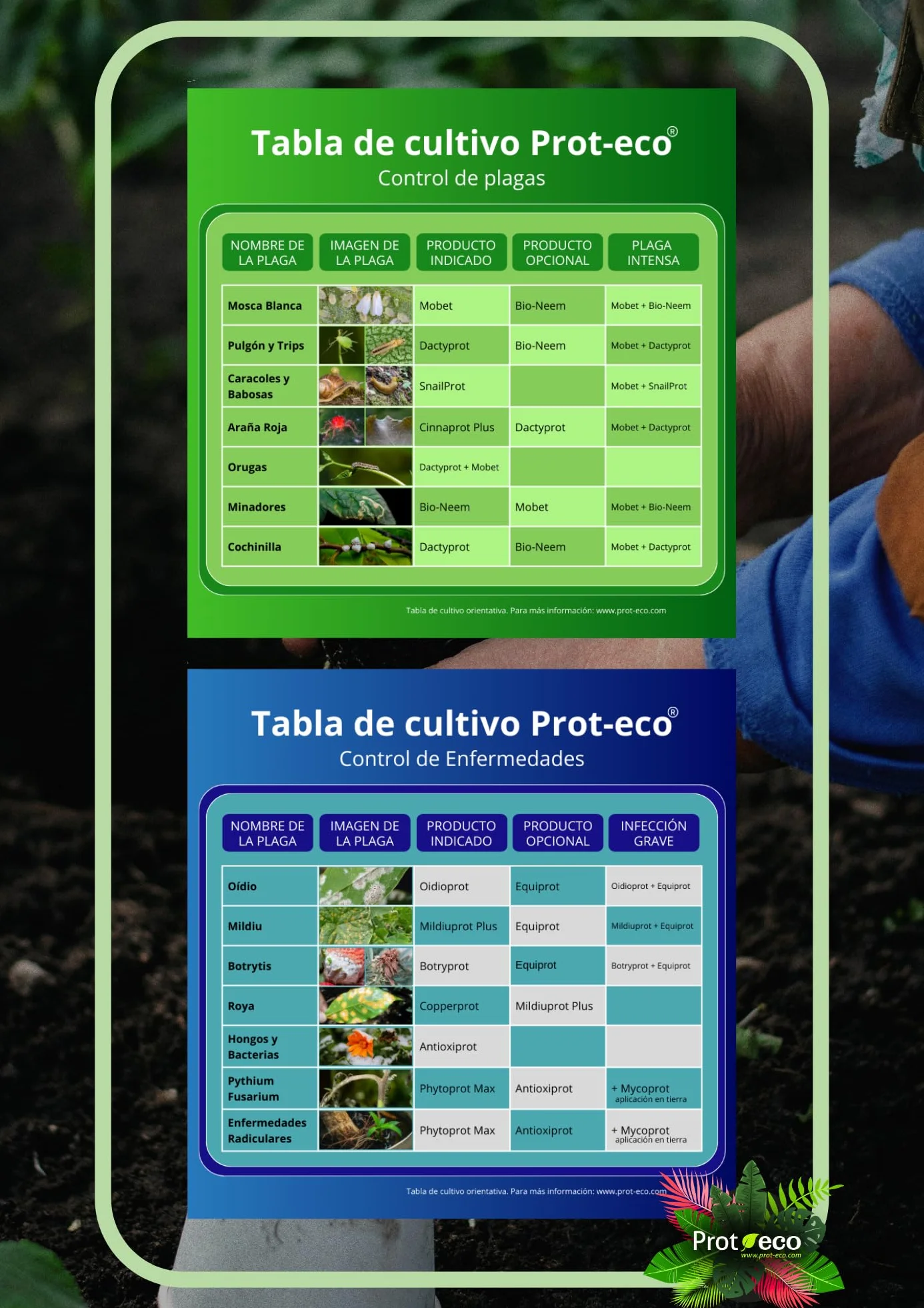 OIDIOPROT de Prot-eco Fungicida Antioidio Curativo Preventivo para Cultivos