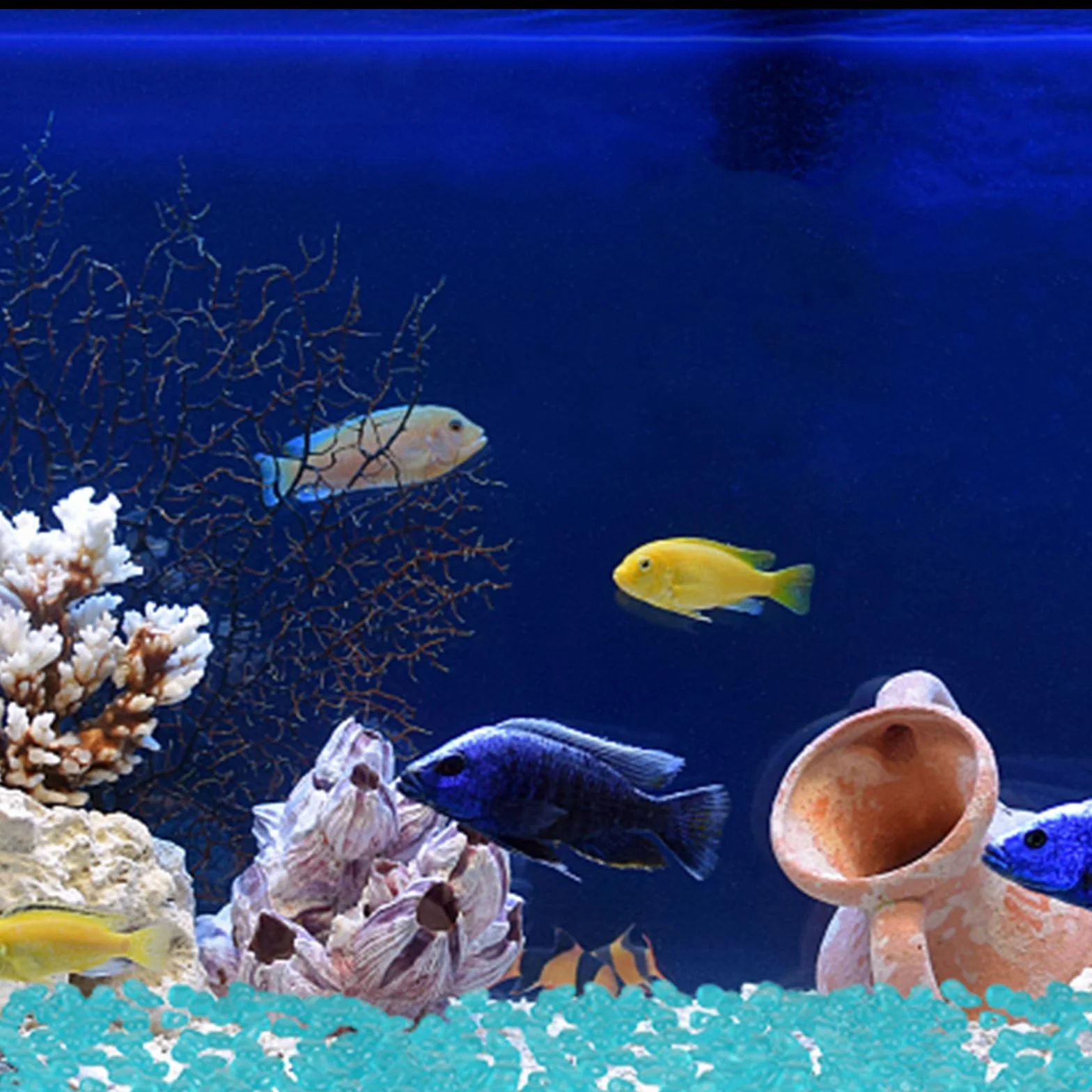 Piedras Luminosas Jardin 300 Piezas Azul, Piedras Decorativas Fluorescentes para Jarrones Acuario Macetas Balcón