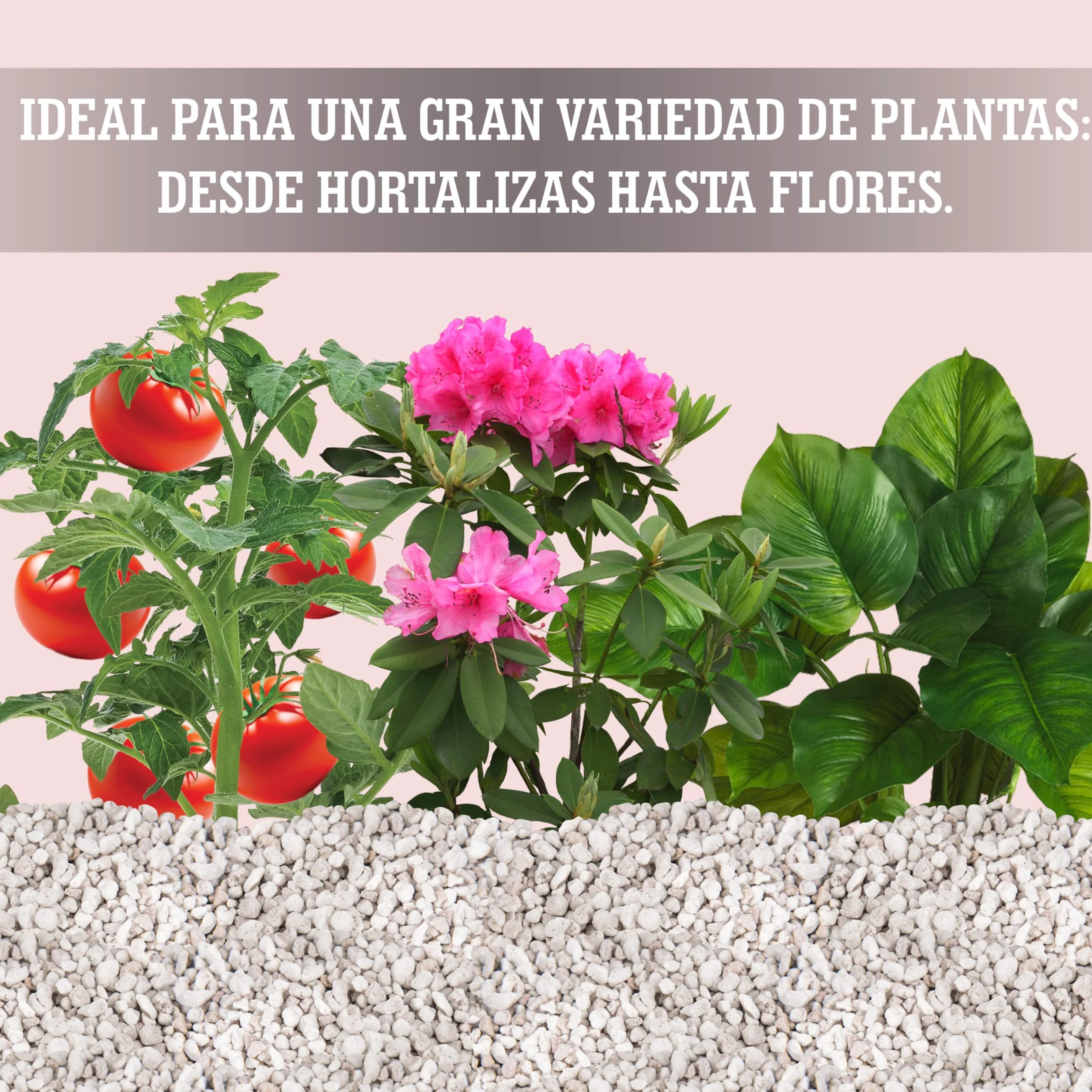 LERAVA Perlite pour Plante 3 L - Naturelle Améliore Drainage Aération