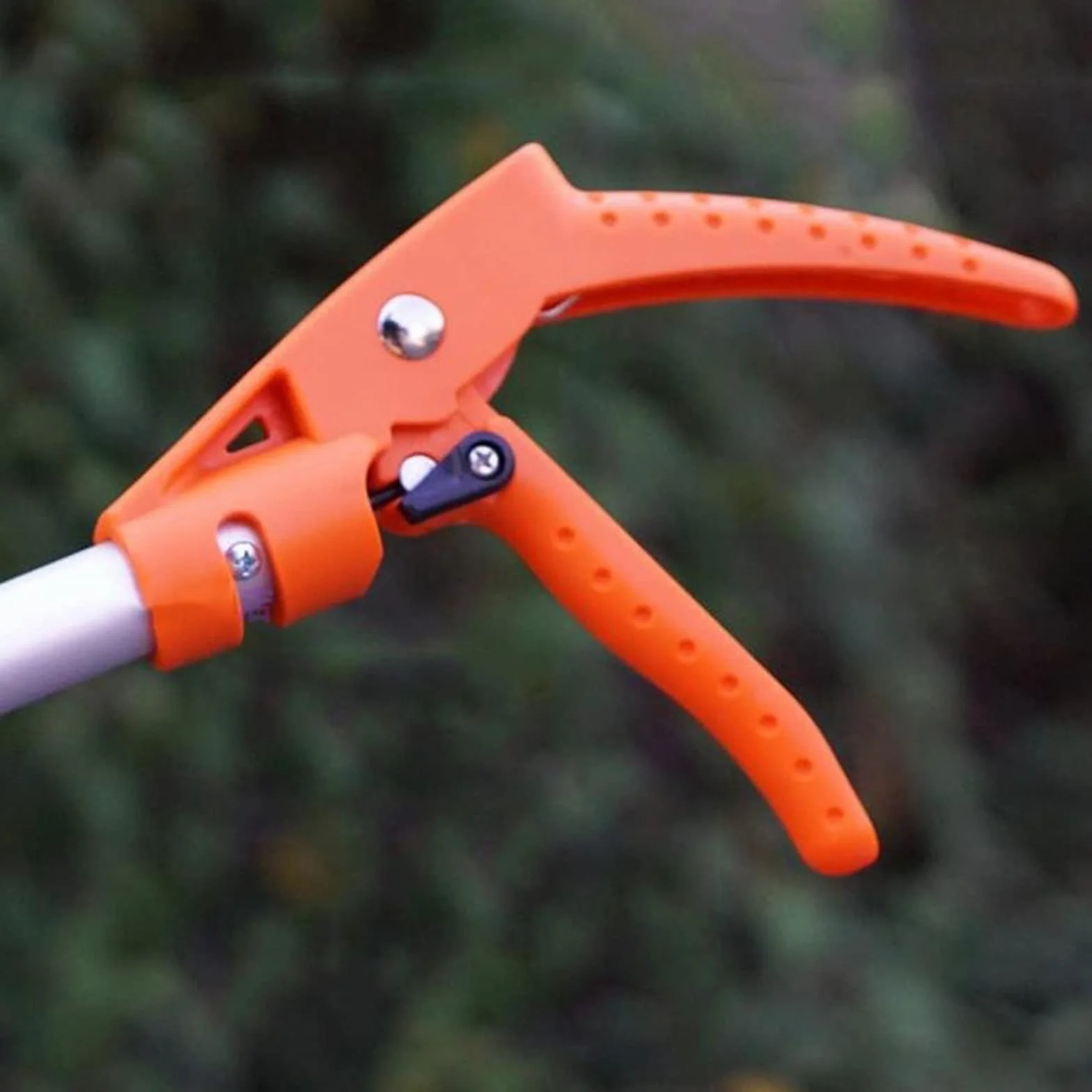 Podadora telescópica de derivación de poda – Recolector de frutas extralargo de 0,6 m y herramienta de corte de jardín para un corte y corte eficientes