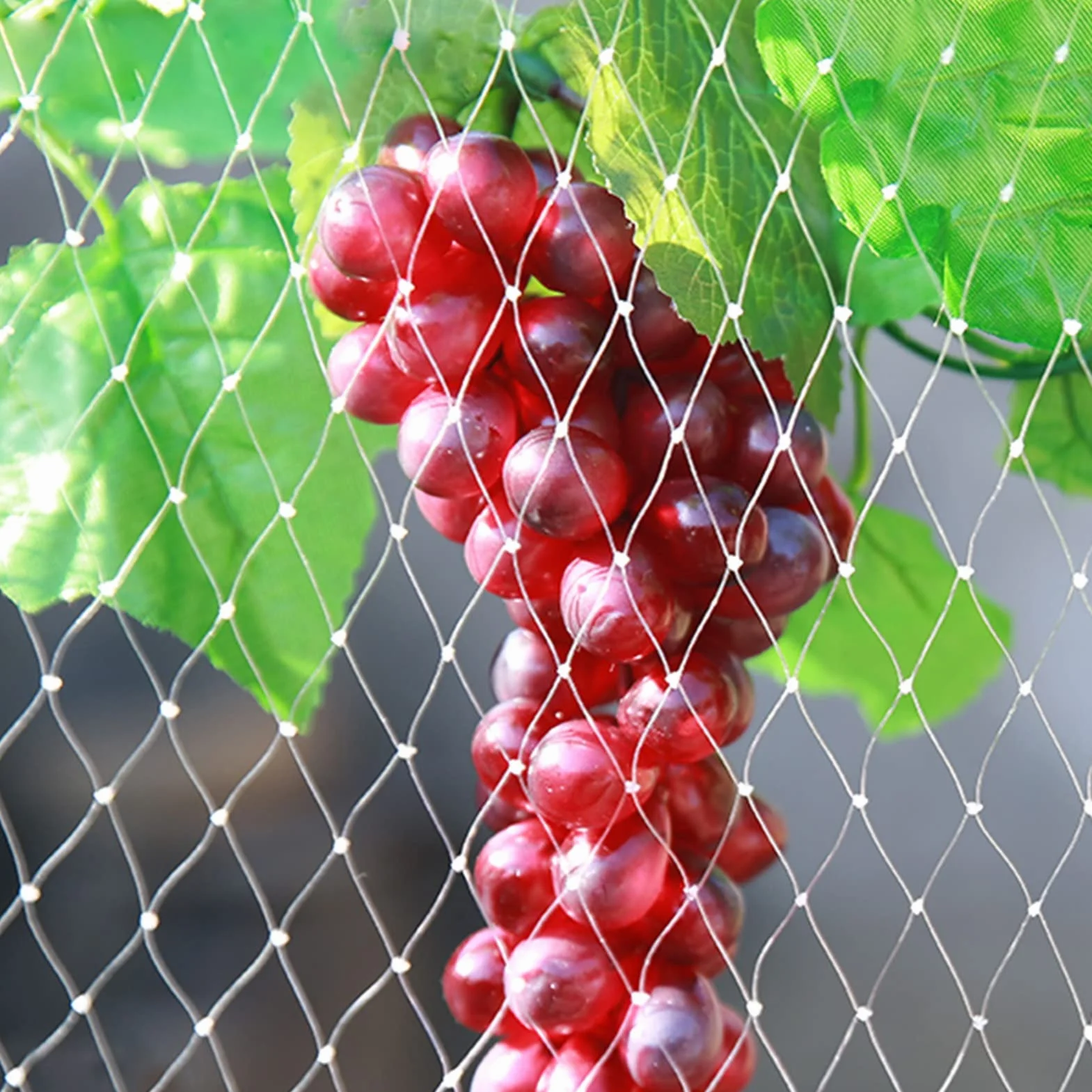 Red Antipájaros Extragrande para Árboles Frutales, Rollo De Malla De Plástico Resistente para Jardín, Color, para Uvas, Fresas Y Arándanos, Cerca para Gallineros En Exteriores (5 X 10 M/16,4 X