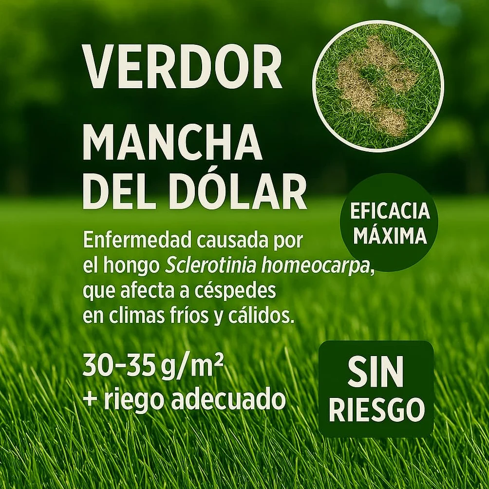 FERTIBONO Abono Césped 2 kg NPK Magnesio Hierro Manganeso Revitaliza Césped Amarillo 80 m²