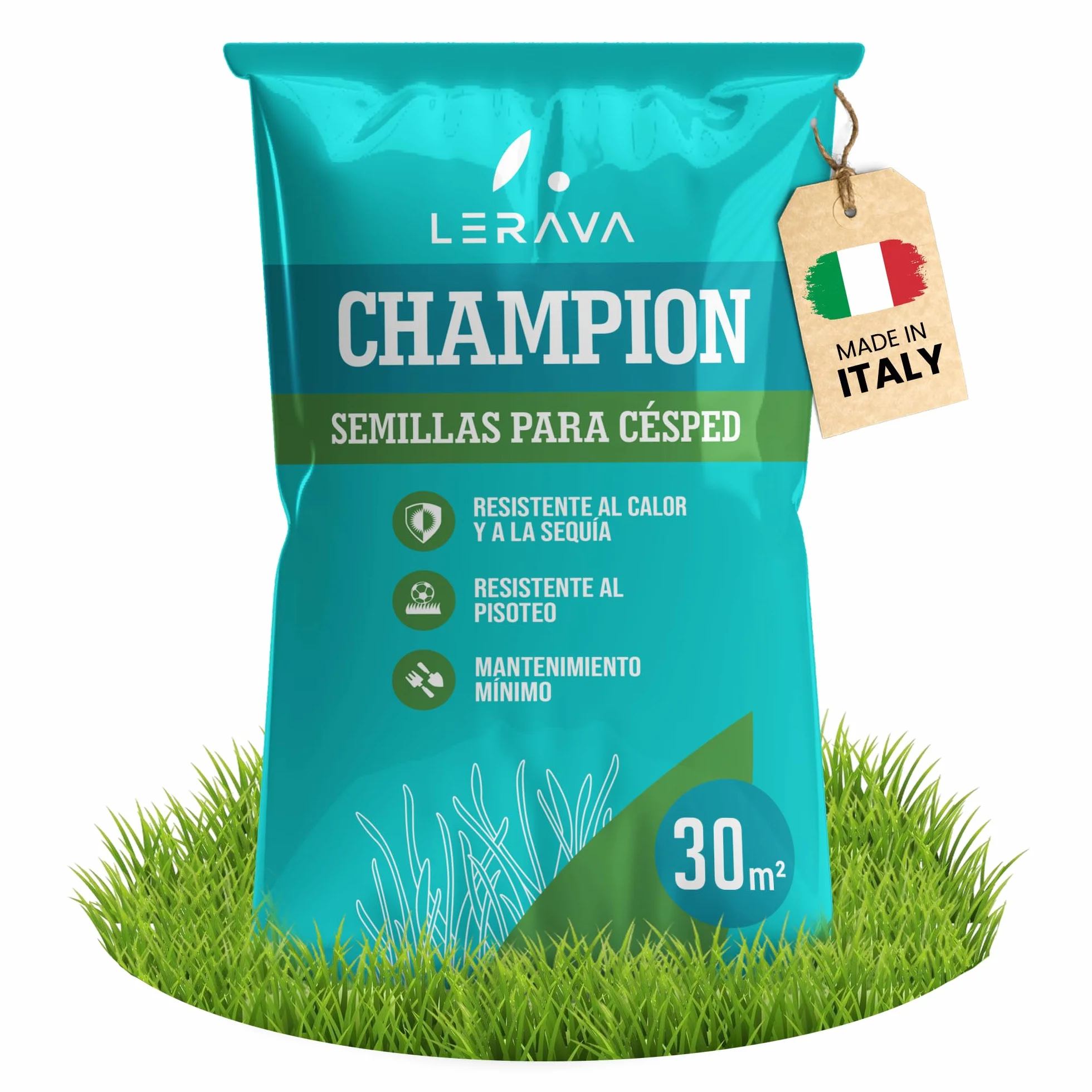 LERAVA CHAMPION semillas césped 30 m² resistente sequía festuca arundinacea bajo consumo agua crecimiento rápido