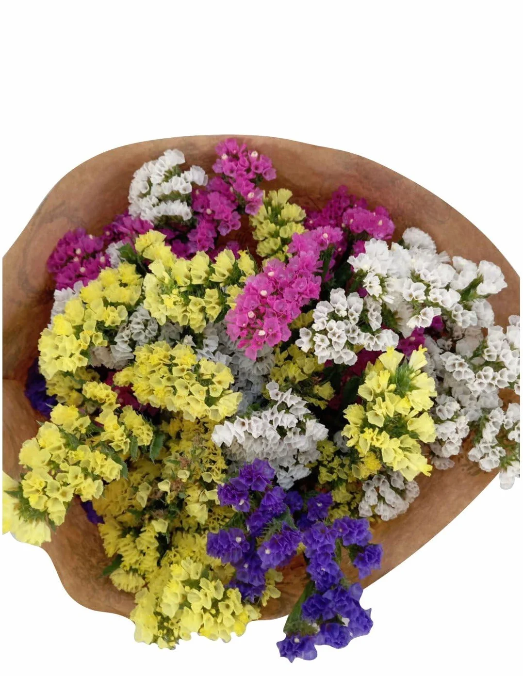 SiempreViva Ramo Natural 10 Tallos Hojas Naturales Decoración