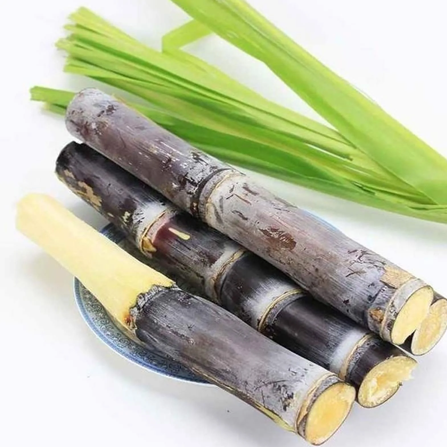 Semillas de caña de azúcar 150 unids/bolsa, Evergreen comestibles alta germinación para balcón Púrpura oscuro