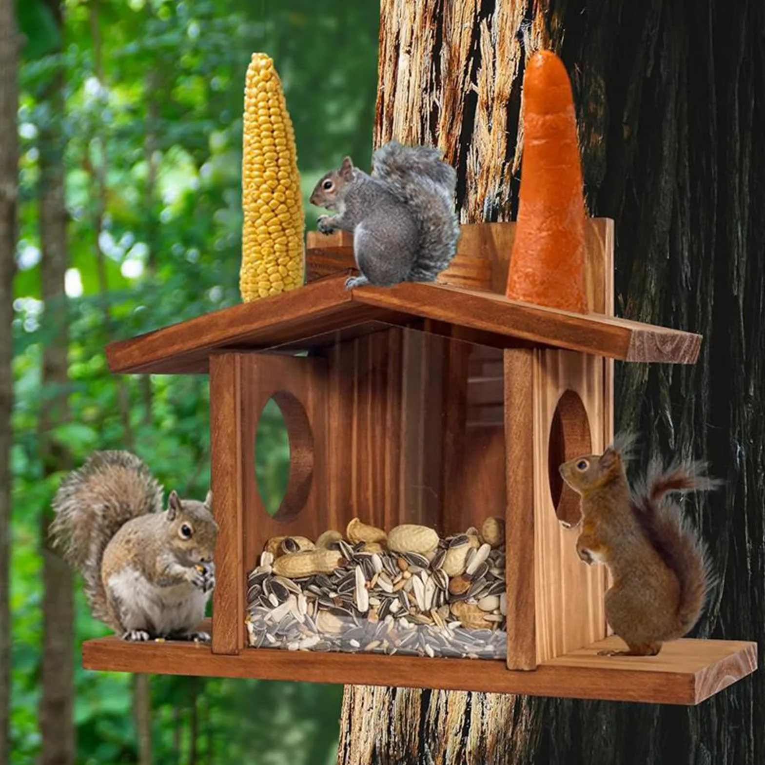 Casas de ardillas duradera para techo extraíble, alimentador al aire libre, decoración de jardín