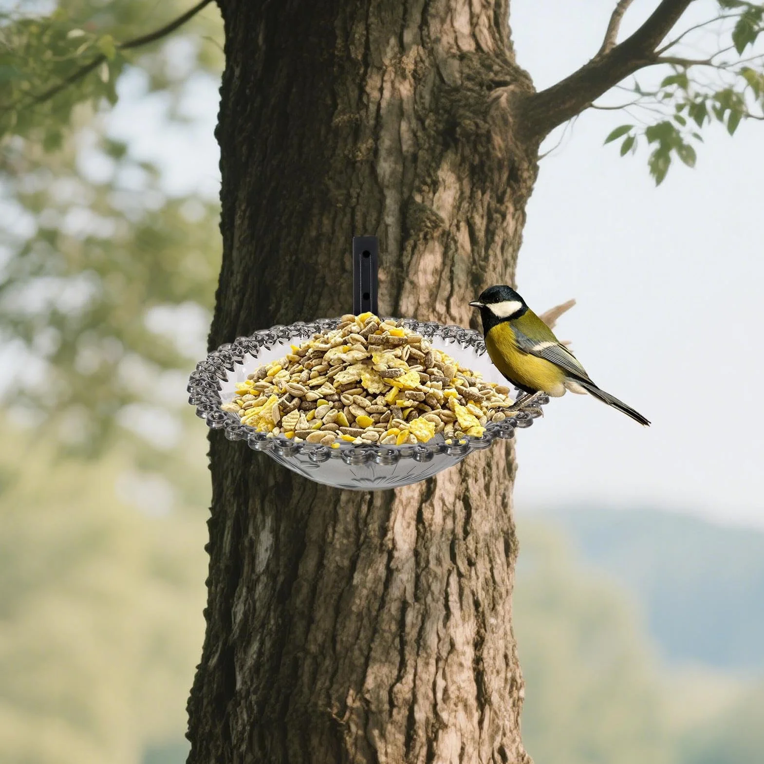 Baño para pájaros de 9 Pulgadas Colgante de Agua Jardín Transparente
