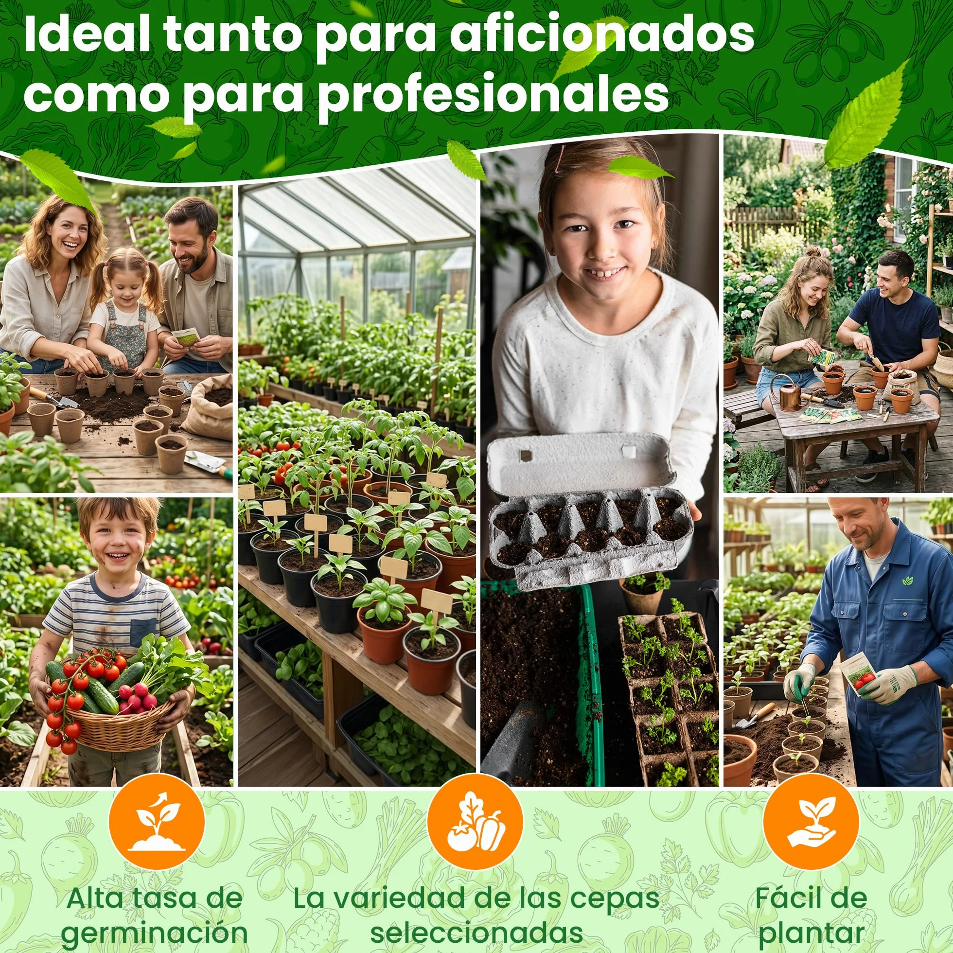 Set de Semillas de Vegetales 15 Variedades TORAF – Tomate, Pepino, Pimiento, Calabacin, Brócoli, Rúcula