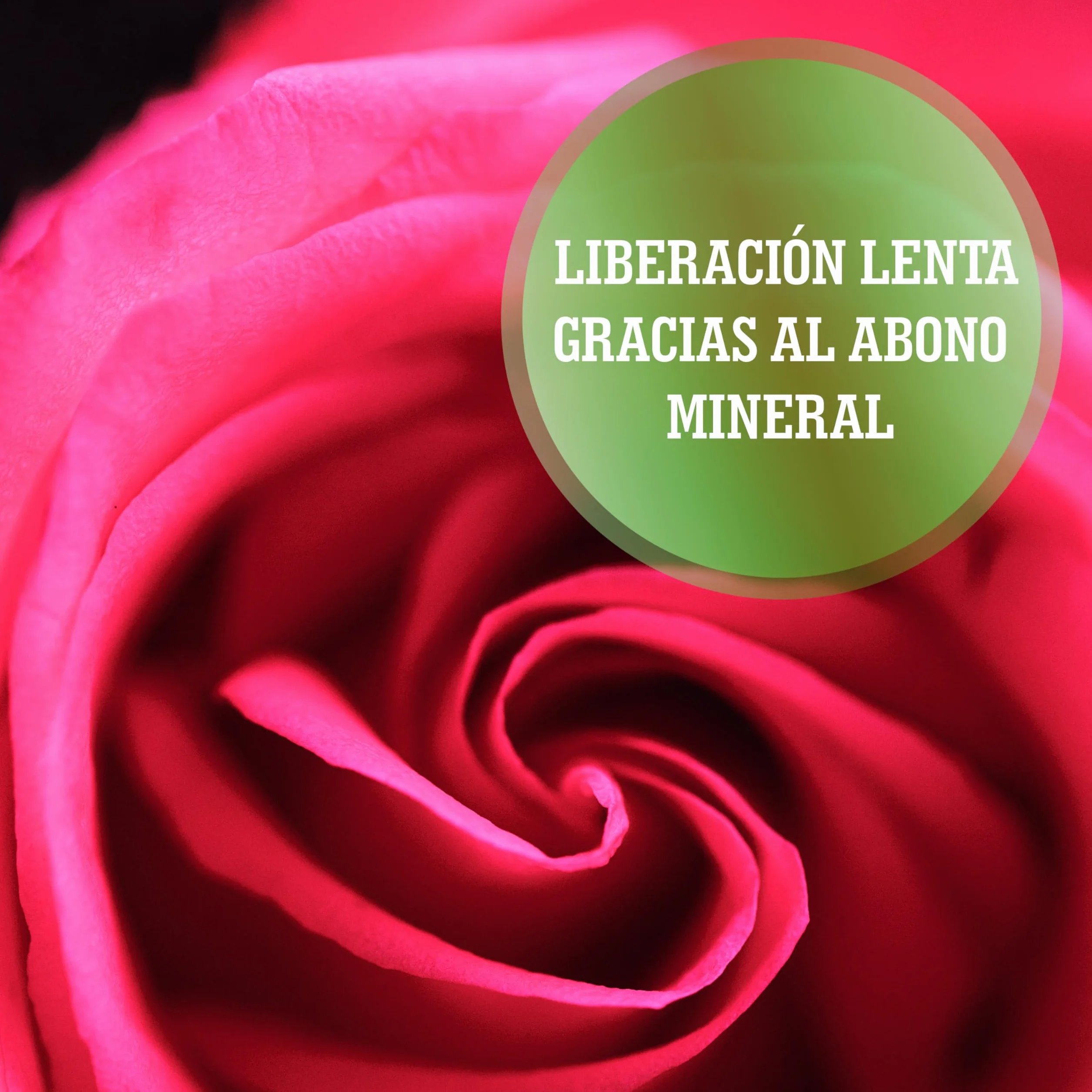 LERAVA Abono líquido para rosas 700 ml con tapón dosificador quelatos microelementos Made in Italy
