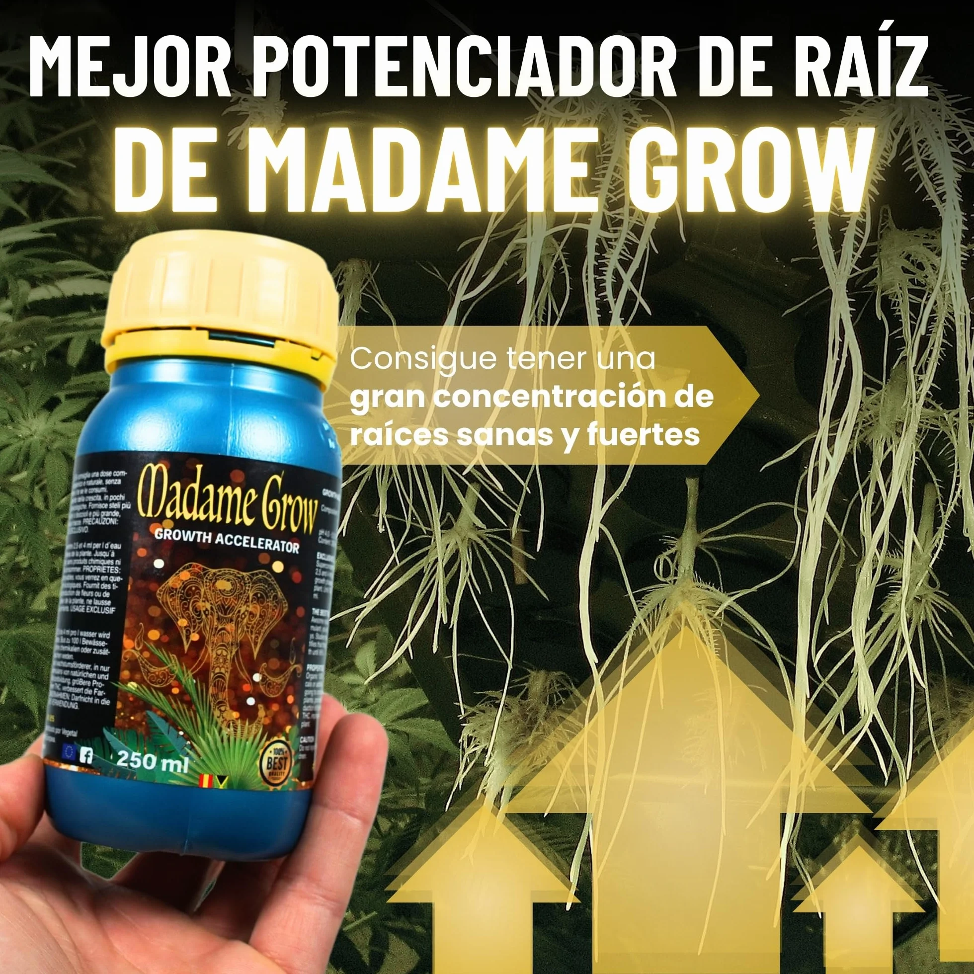 MADAME GROW Kit Power 3PACK 3 x 1 Litro | Pack Fertilizantes Crecimiento Floración y Engorde | Enraizante + PK Floración + Engordador K30 | Kit 3 Abonos Orgánicos