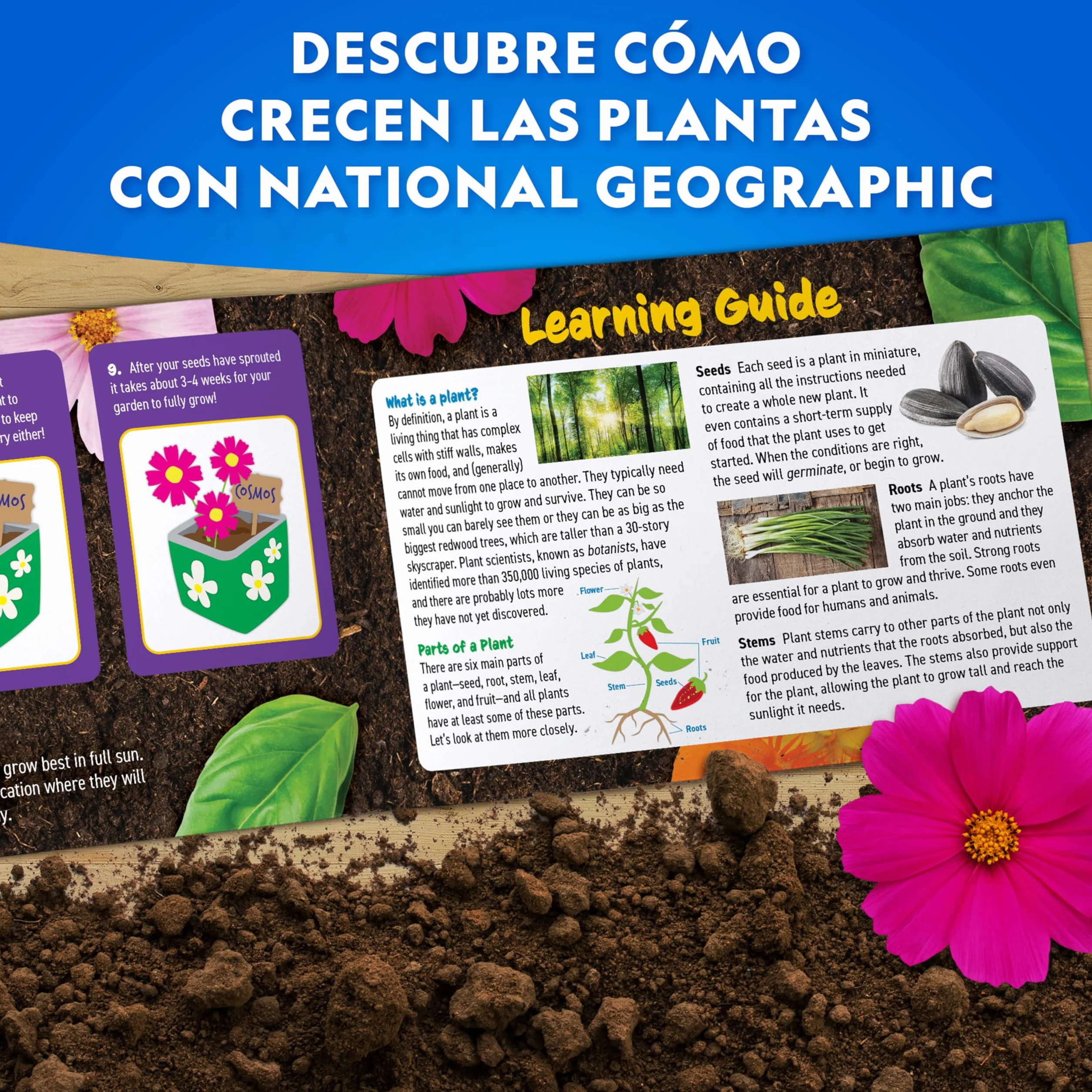 NATIONAL GEOGRAPHIC Kit de Jardinería para Niños con Macetas de Acero Inoxidable, Semillas, Pinturas y Pegatinas